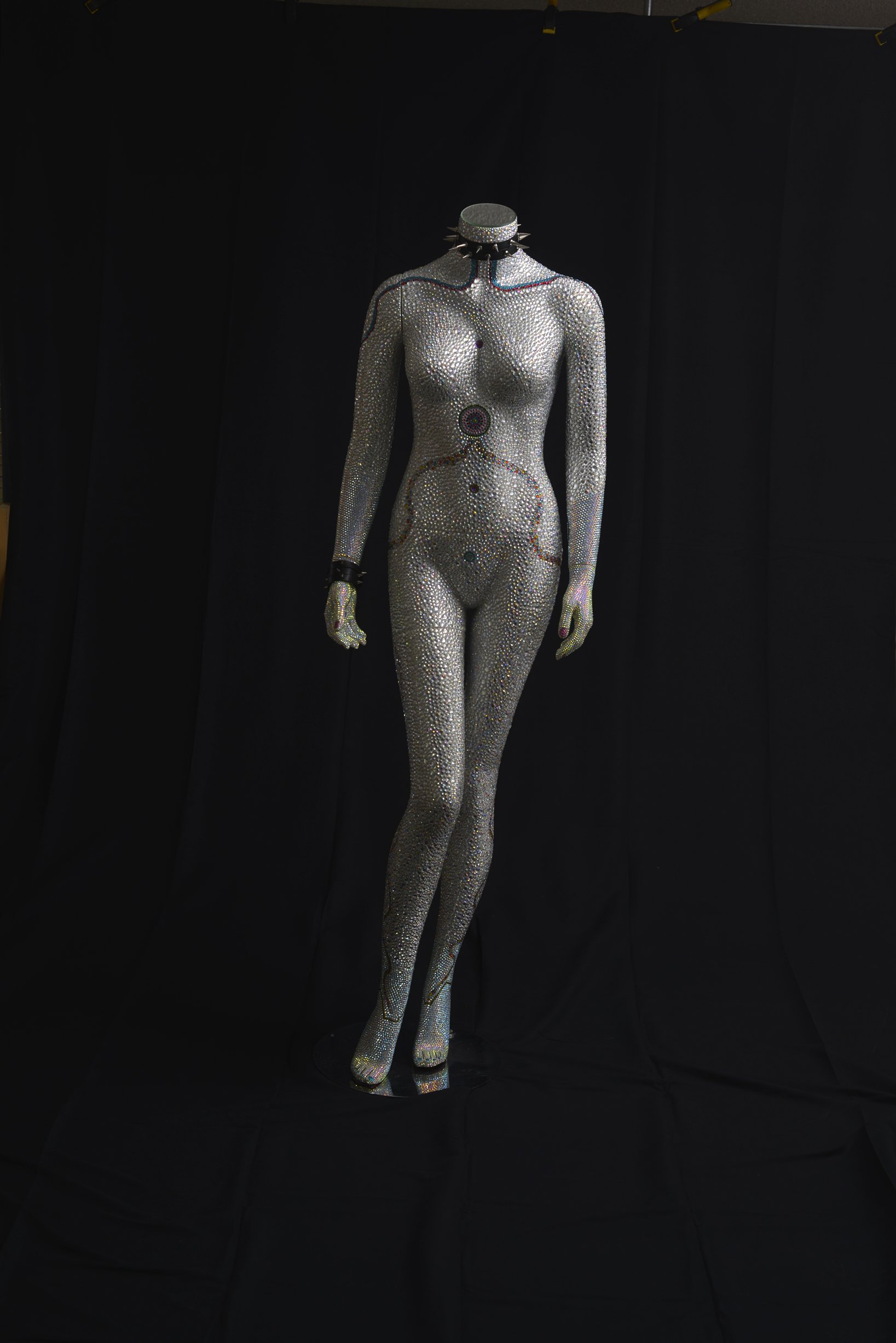 The Model