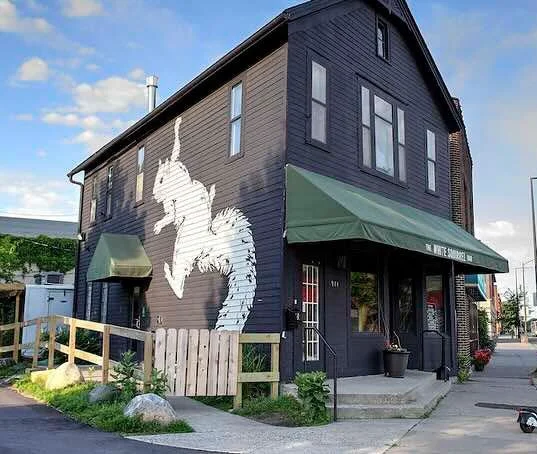 White Squirrel, 3/8/26