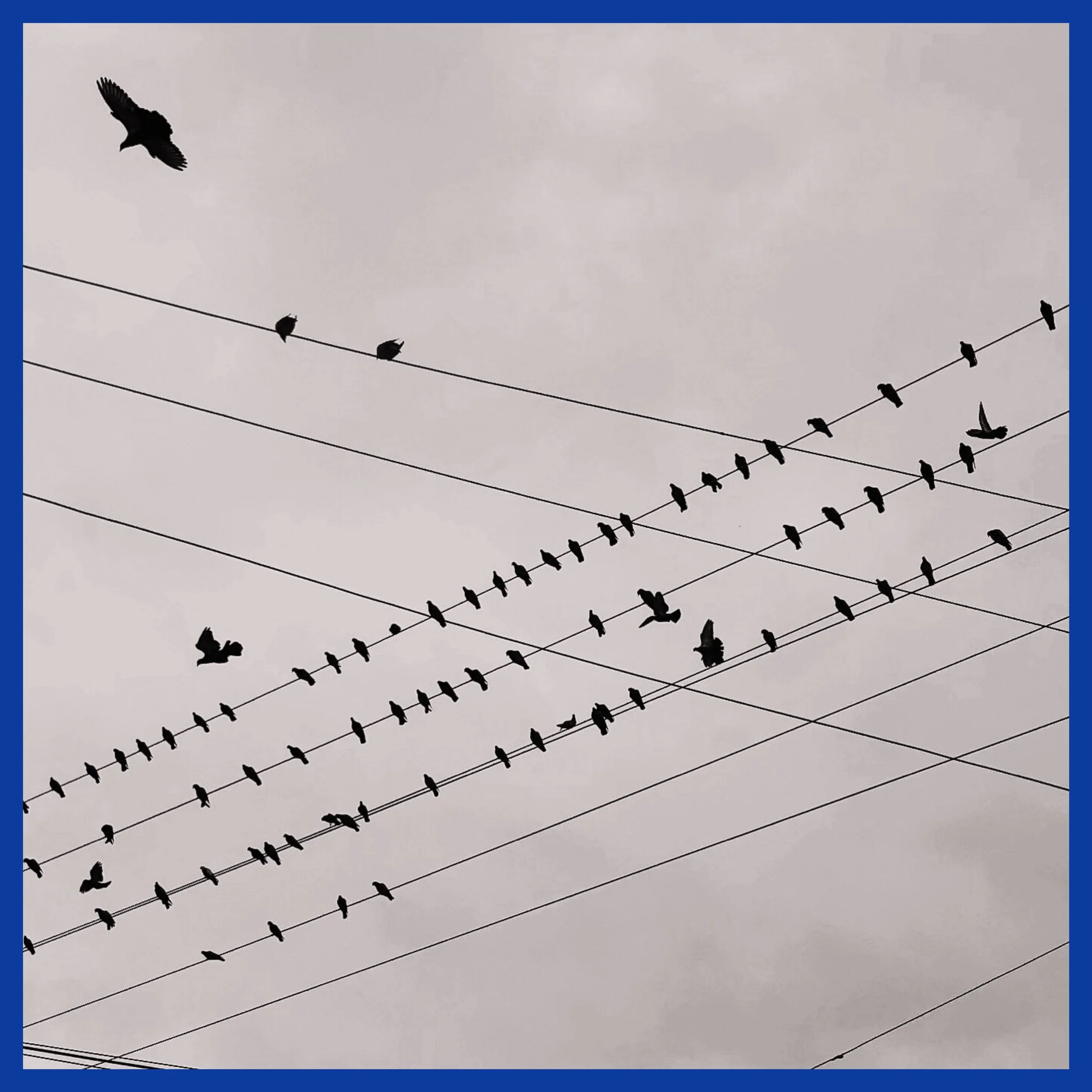 The Aesthetic of Impermanence: Capturing the Ordinary