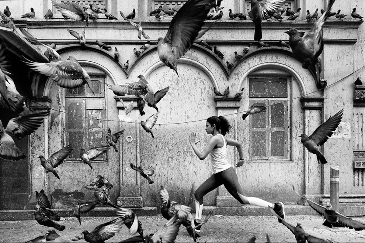birds.JPG