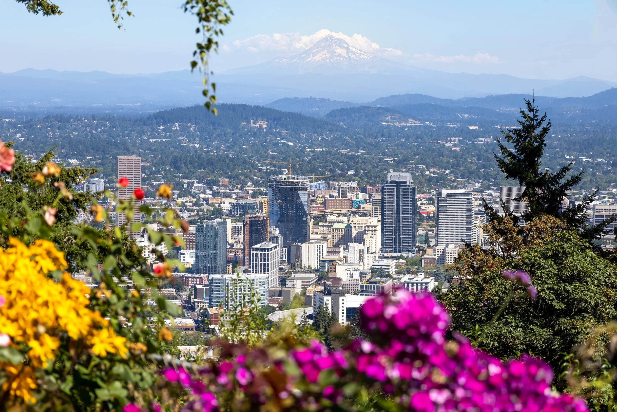 usa-panoramic-view-portland-city-downtown-columbia-river-national-forest-park-mount-hood_sm.jpg
