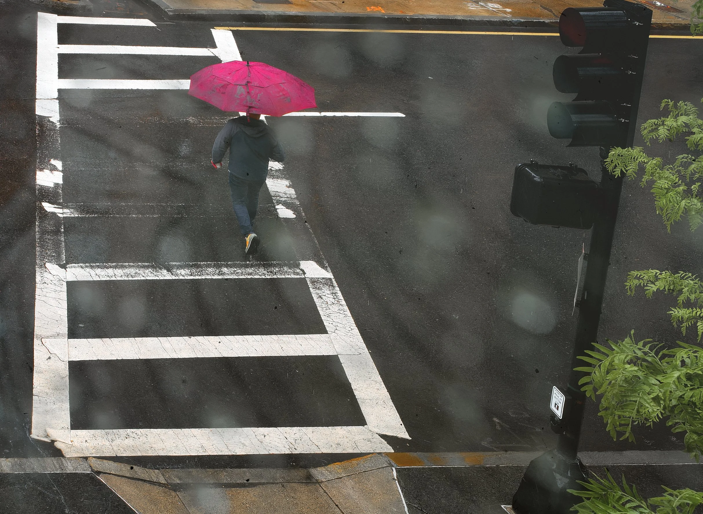 Person walking through a rain-soaked crosswalk beneath a red umbrella, seen from above through a window with soft reflections and street markings.