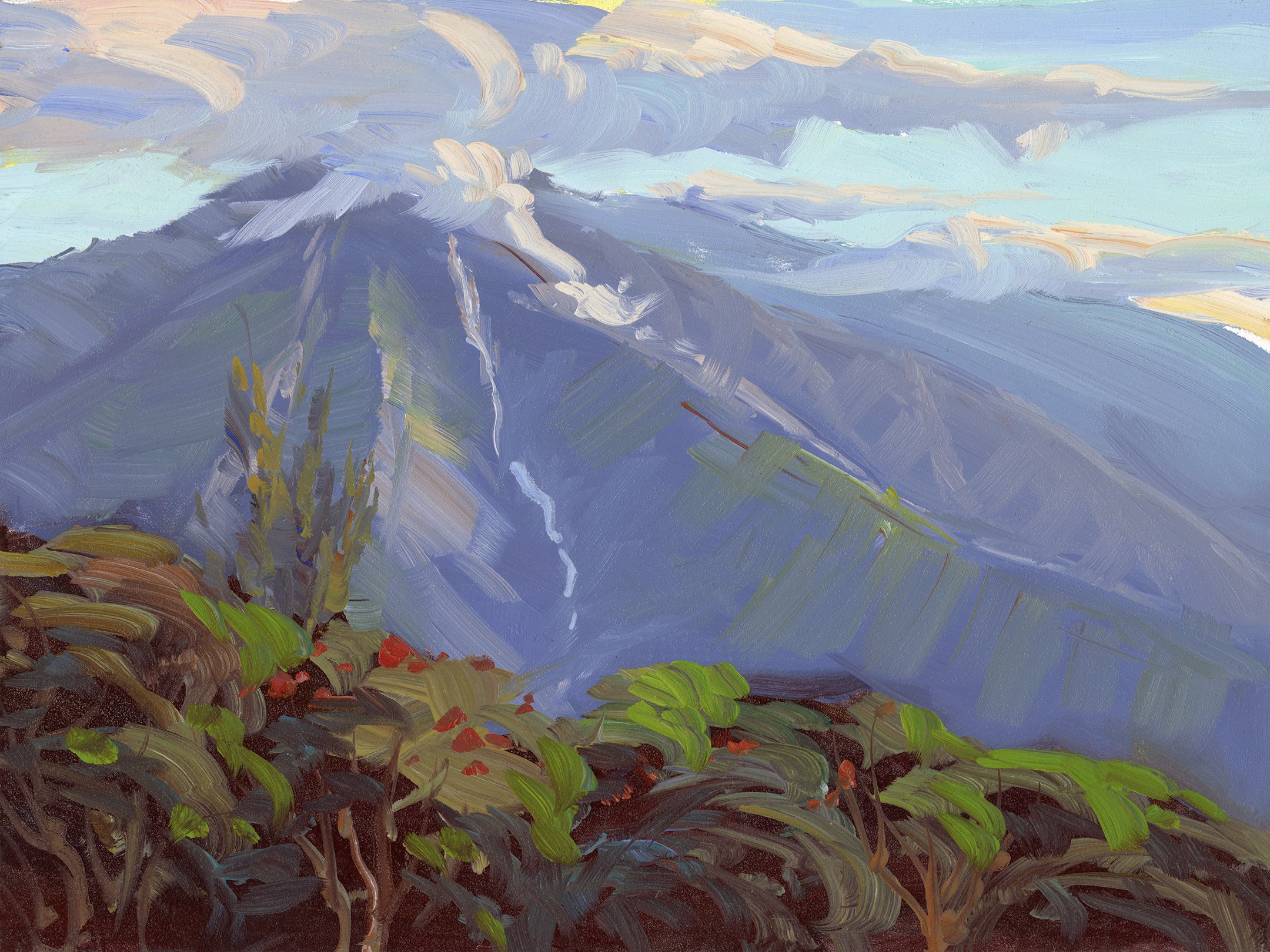Kauai_Rain_Forest.jpg
