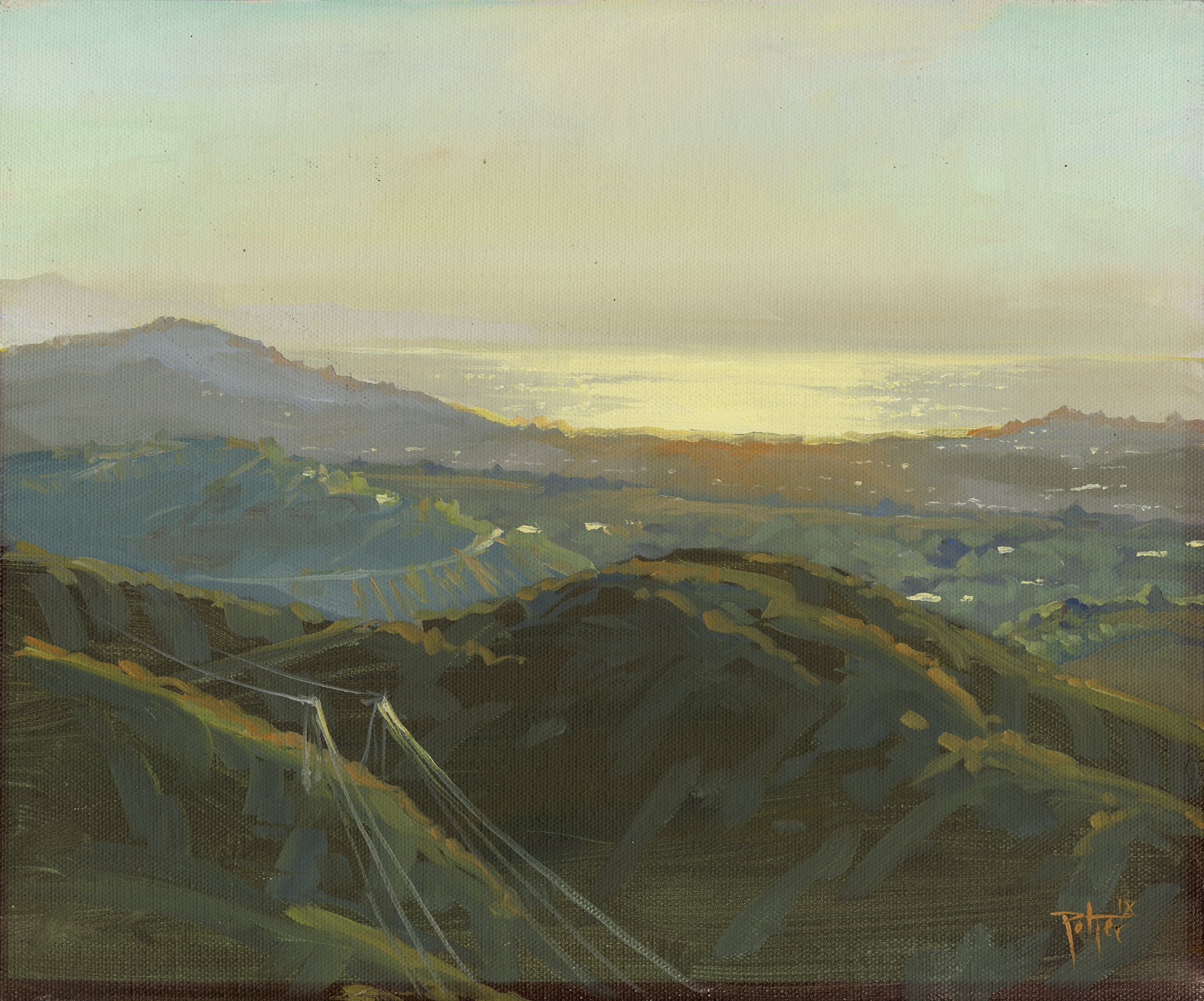 View_of_Shimmery_SB.jpg