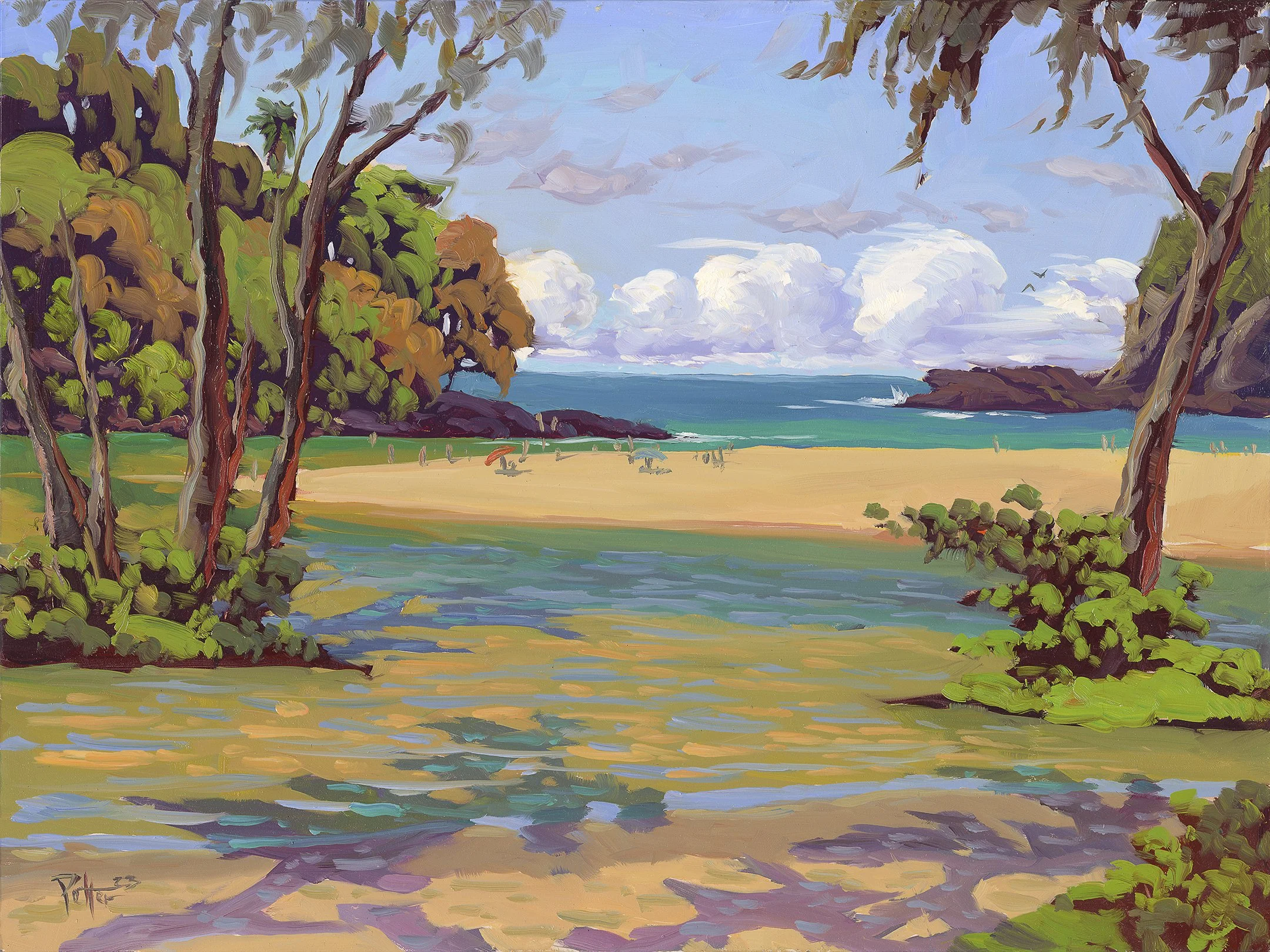 Kalihiwai_Rivier_Mouth.jpg (Copy)