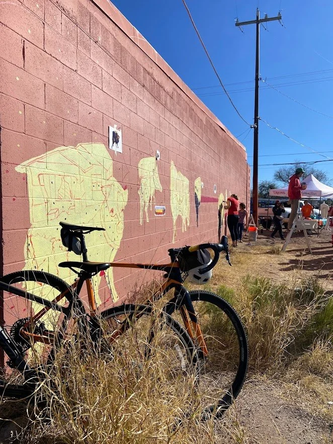 remix sunshine bikes.jpg