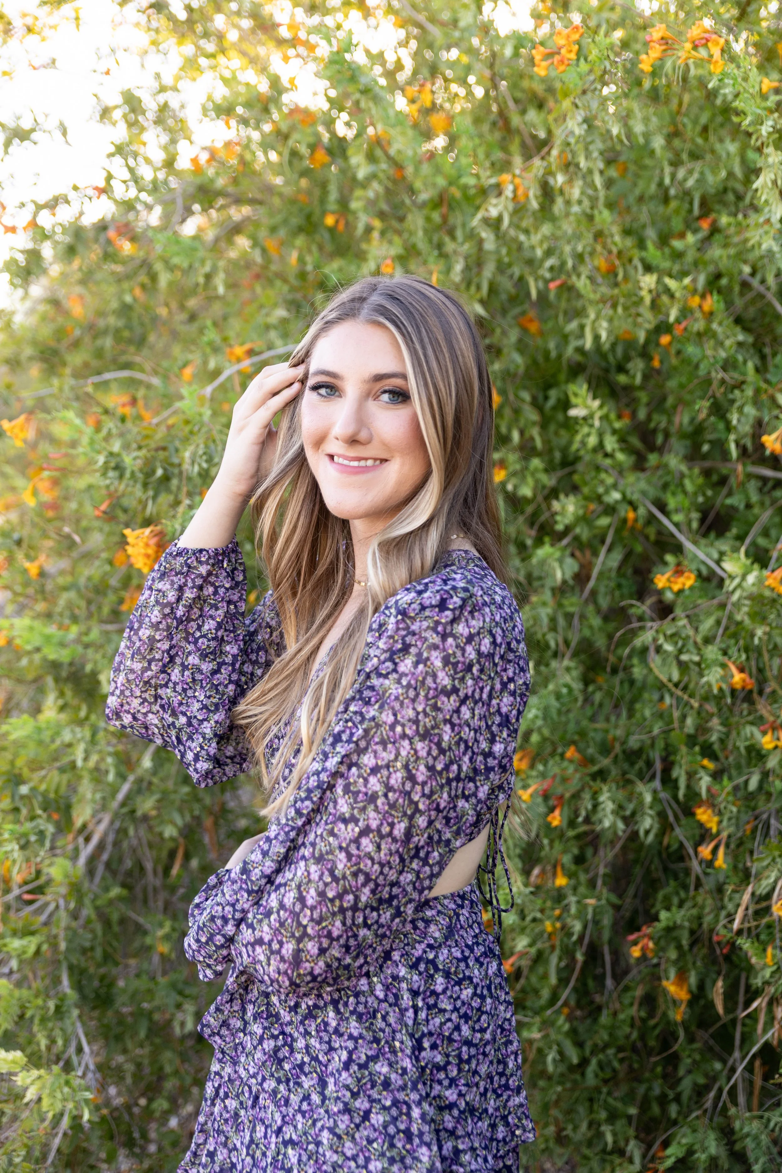 Arizona Wildflower Minis