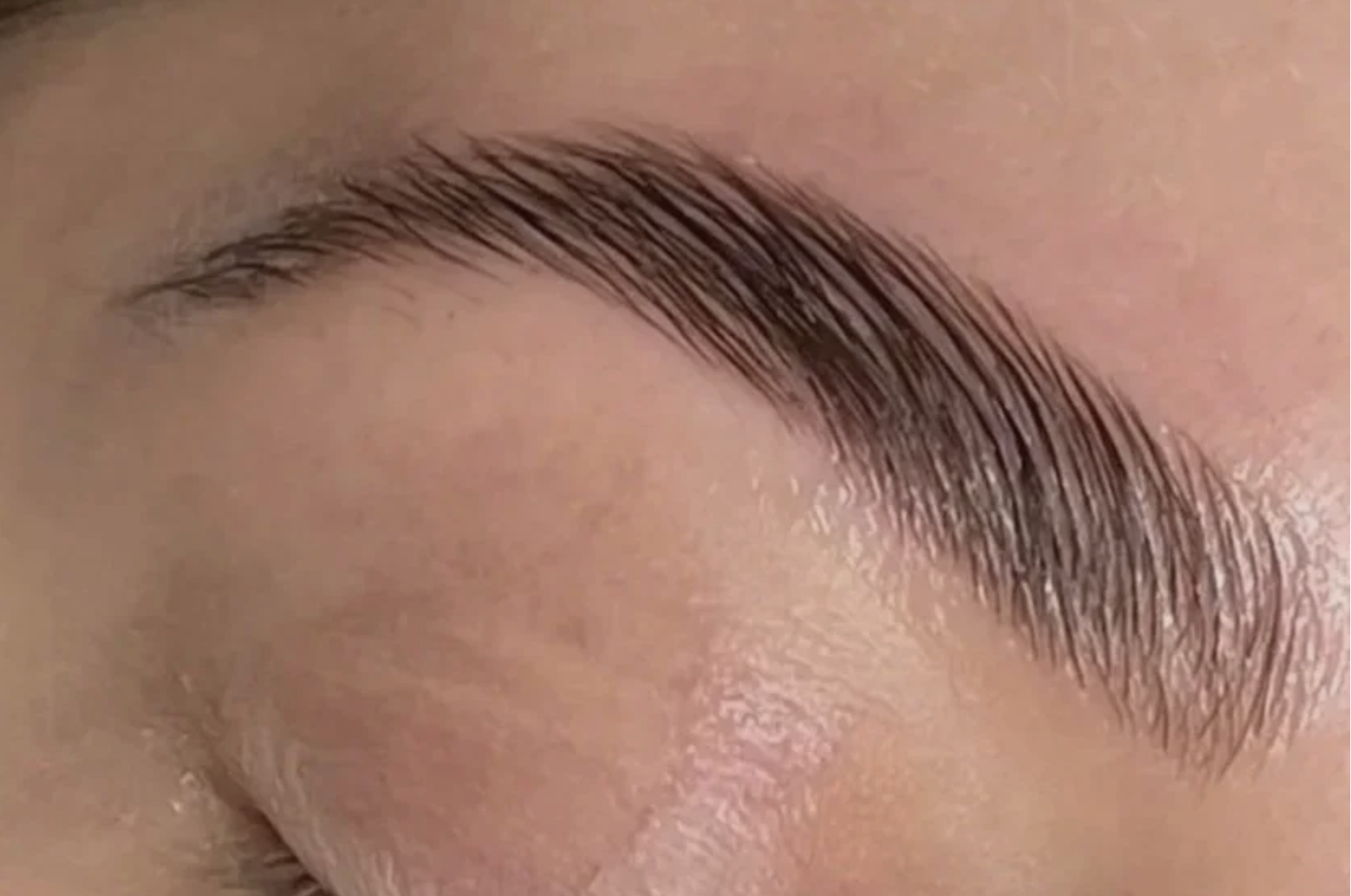 brow lamination Lofty Lash Studio