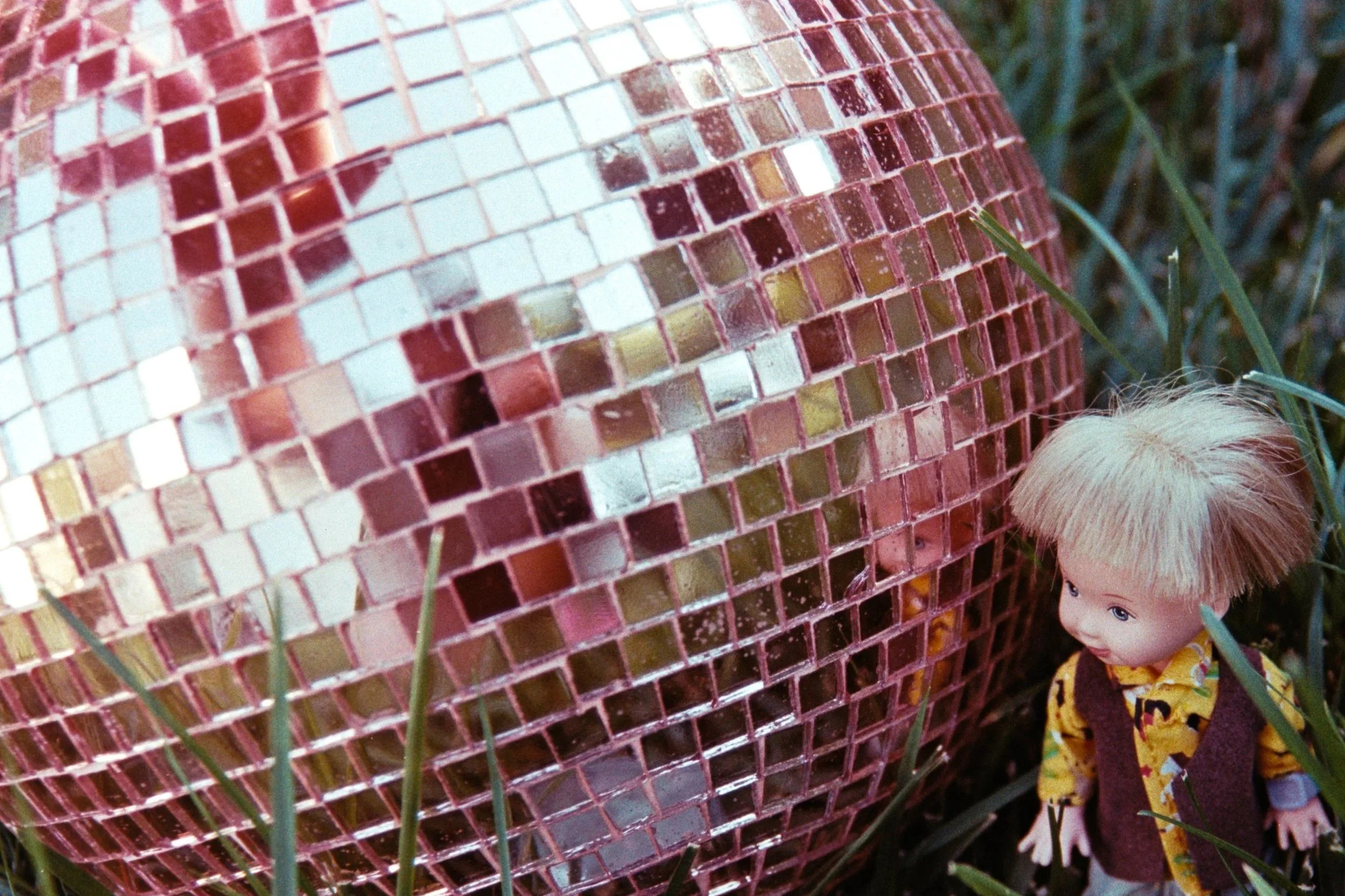 A color photo shows Tommy beside a pink disco ball in tall grass, with a hand reaching toward them in the ball’s reflection.