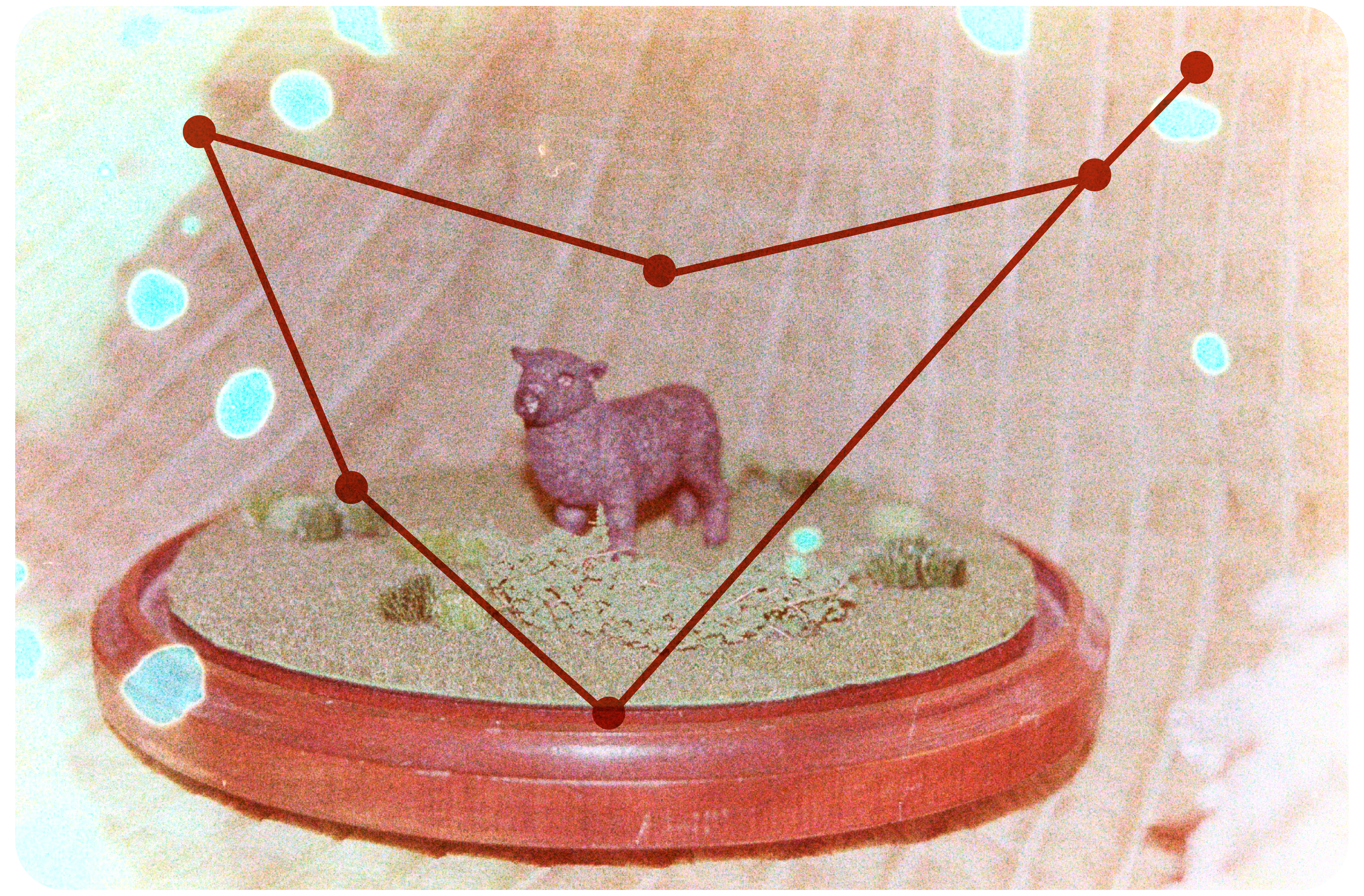 Grainy, color image of a plastic, black sheep toy standing in faux green grass atop a wooden terrarium base. There is a red illustration of the Capricorn constellation placed as a frame around the sheep.