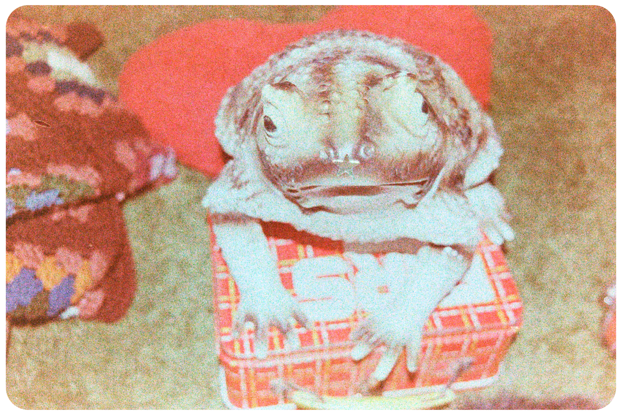 A red, plaid first aid box lies on a green rug, a giant plastic frog is sitting on top of the box. The frog has a gold star sticker on its nose.