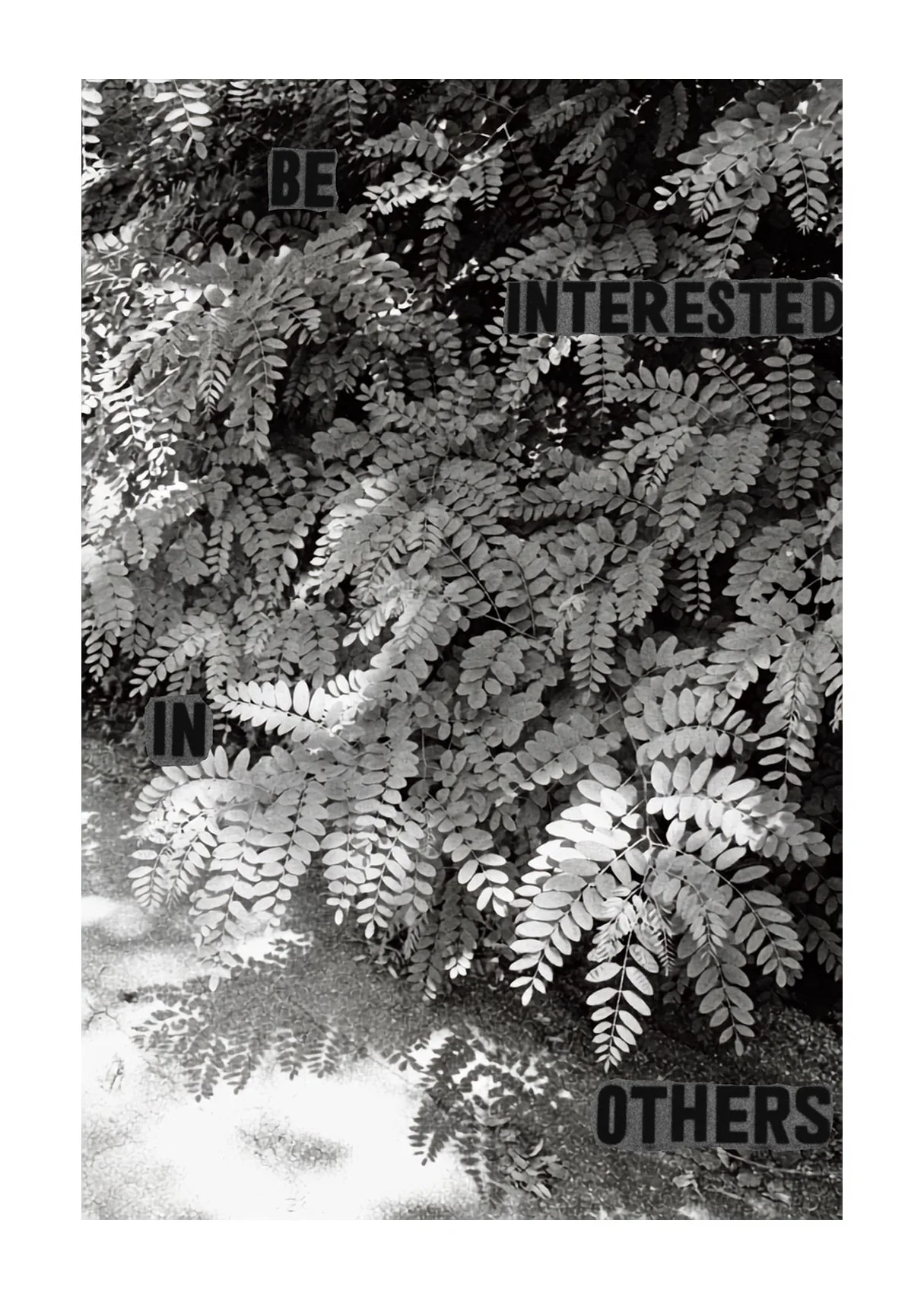A black-and-white image of black locust foliage and sunlit asphalt is overlaid with the vertically arranged text “BE INTERESTED IN OTHERS.”
