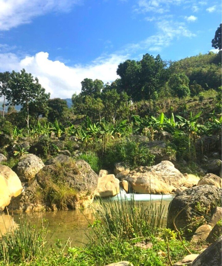 Haiti has some BEAUTIFUL hidden gems within her countryside. We promise that Haiti isn't only what you hear about on the news. There is such depth and intense beauty - we hope that someday you can come and see it for yourself! 
.
.
.
.
#Haitifunfact 