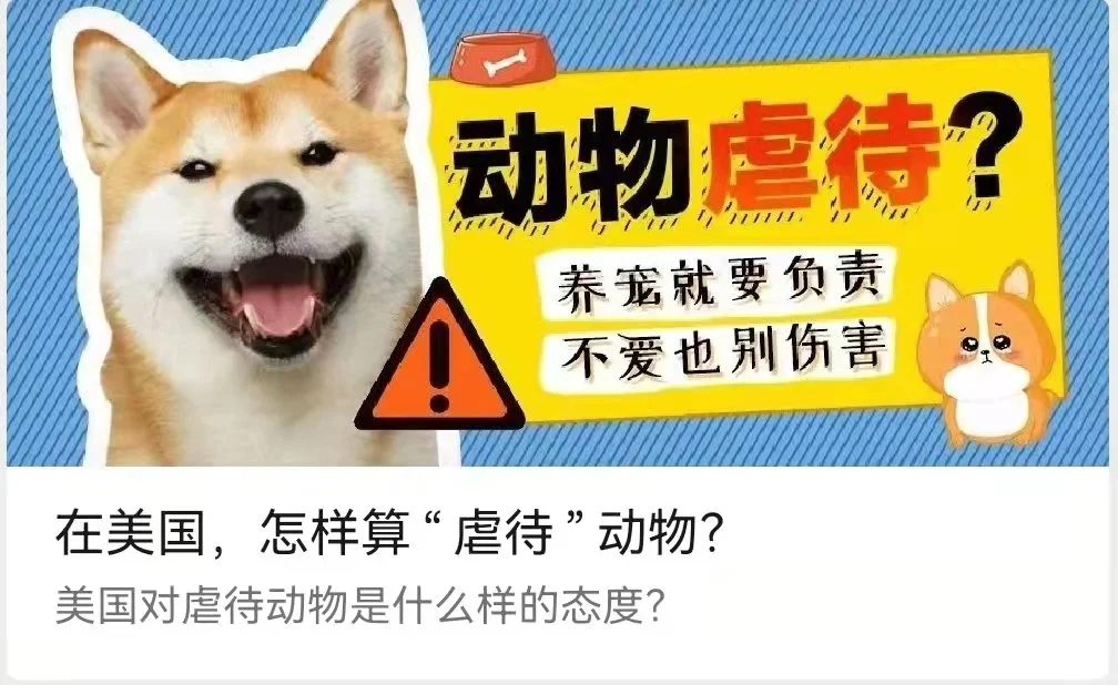 在美国，还能算“虐待”动物吗？-李翀鸣律师解答