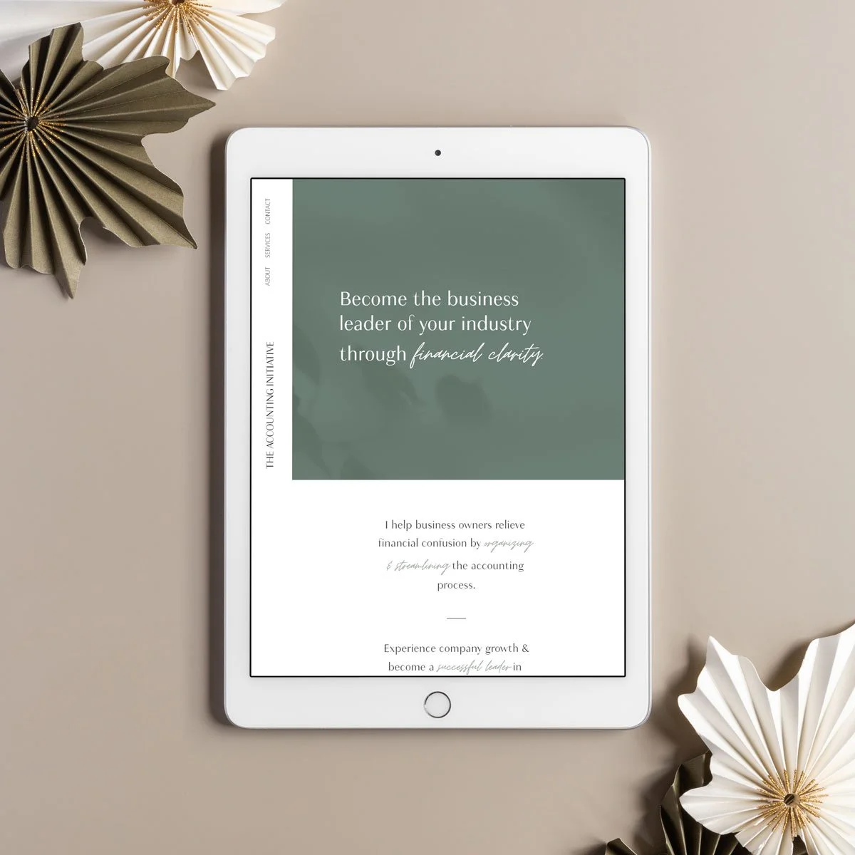 The Accounting Initiative