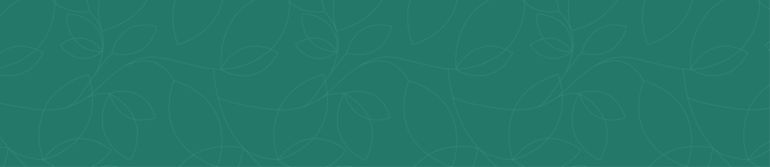 What to Expect as a Functional Medicine Patient at Tendwell — Tendwell