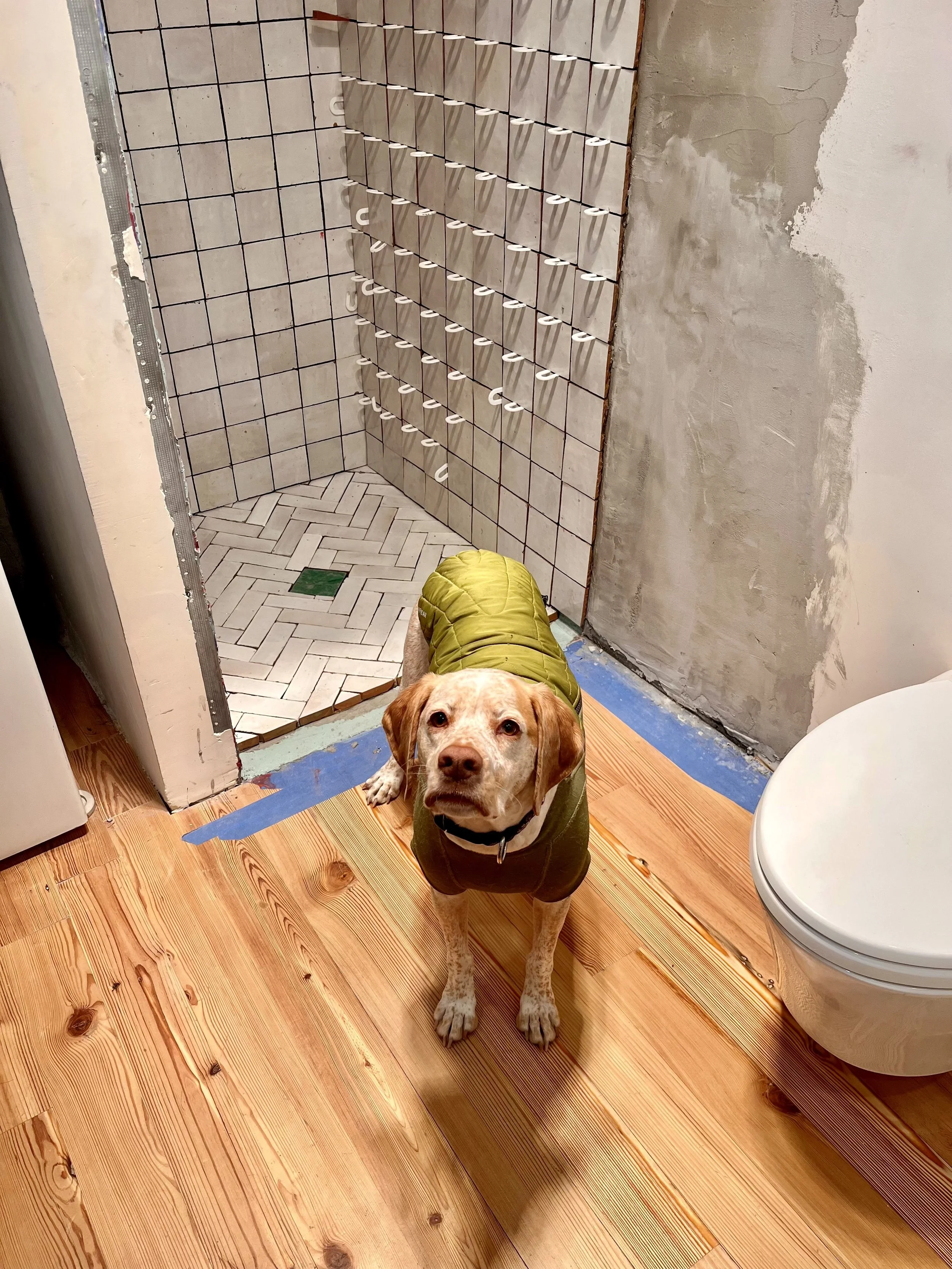Tiling-02.jpg