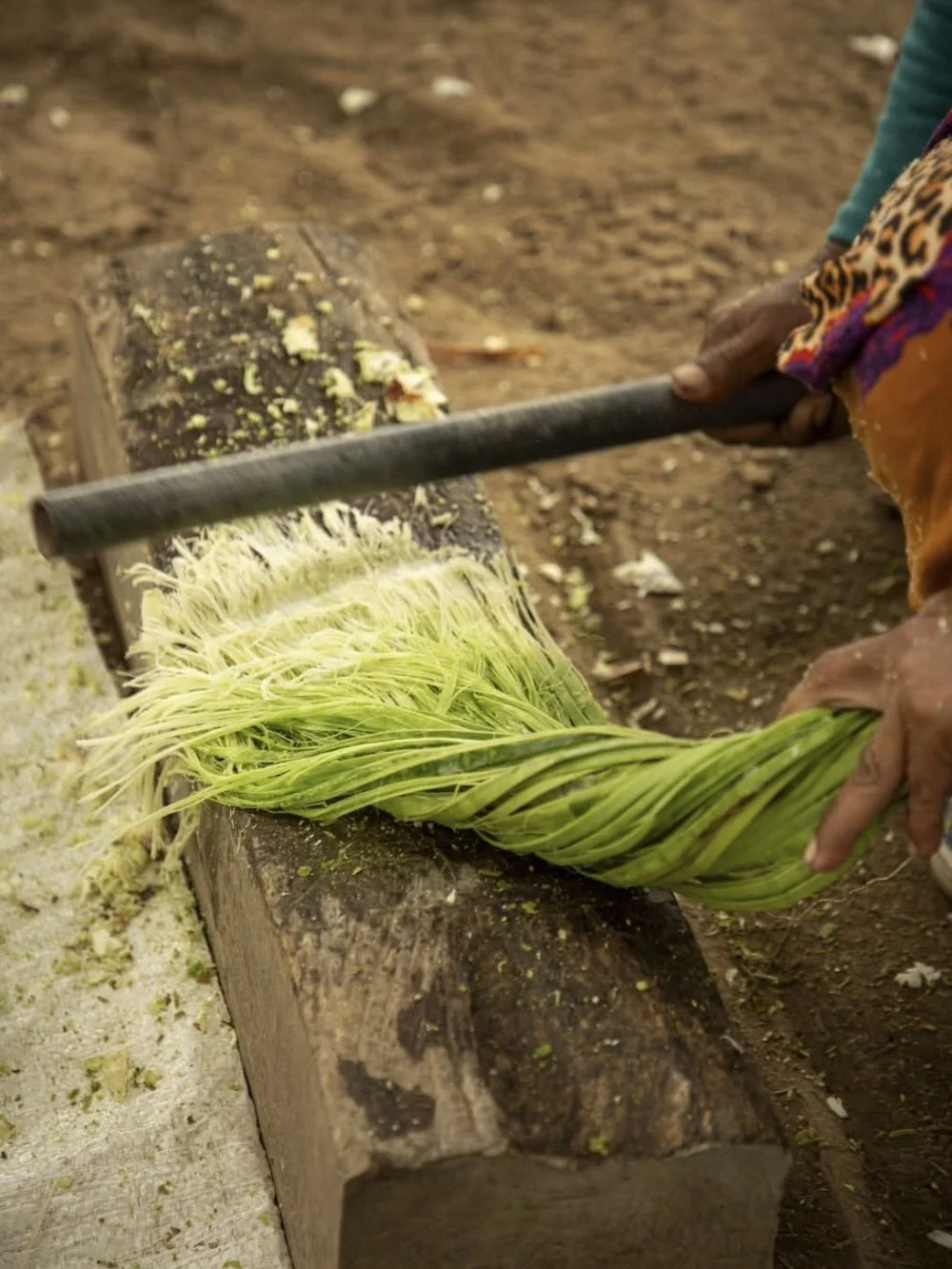 The Art of Chaguar Fiber
