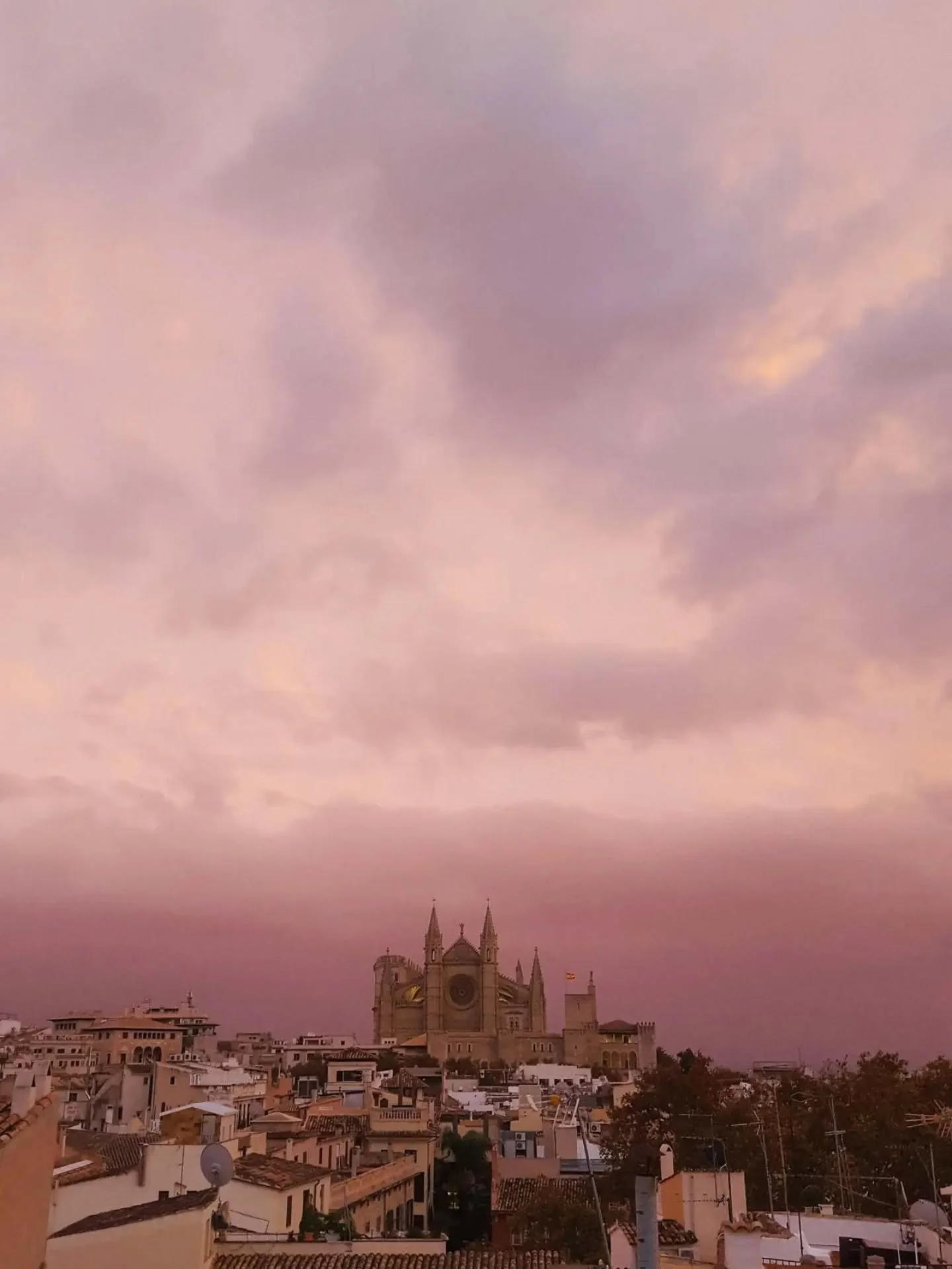 #mallorca #colourpalette #inspiration 

Always stunning by this view.
Every day a gift.
A view from my roof top overlooking the old city center of Palma with the cathedral. Colourful evening sky.