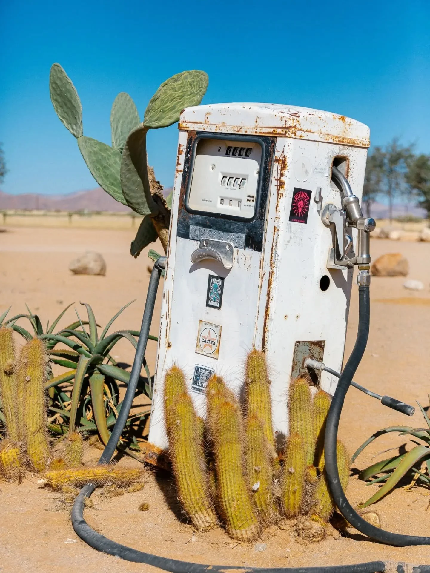 Somewhere in Namibia.
A very friendly old chap.
#namibiasafari #namibiatravel