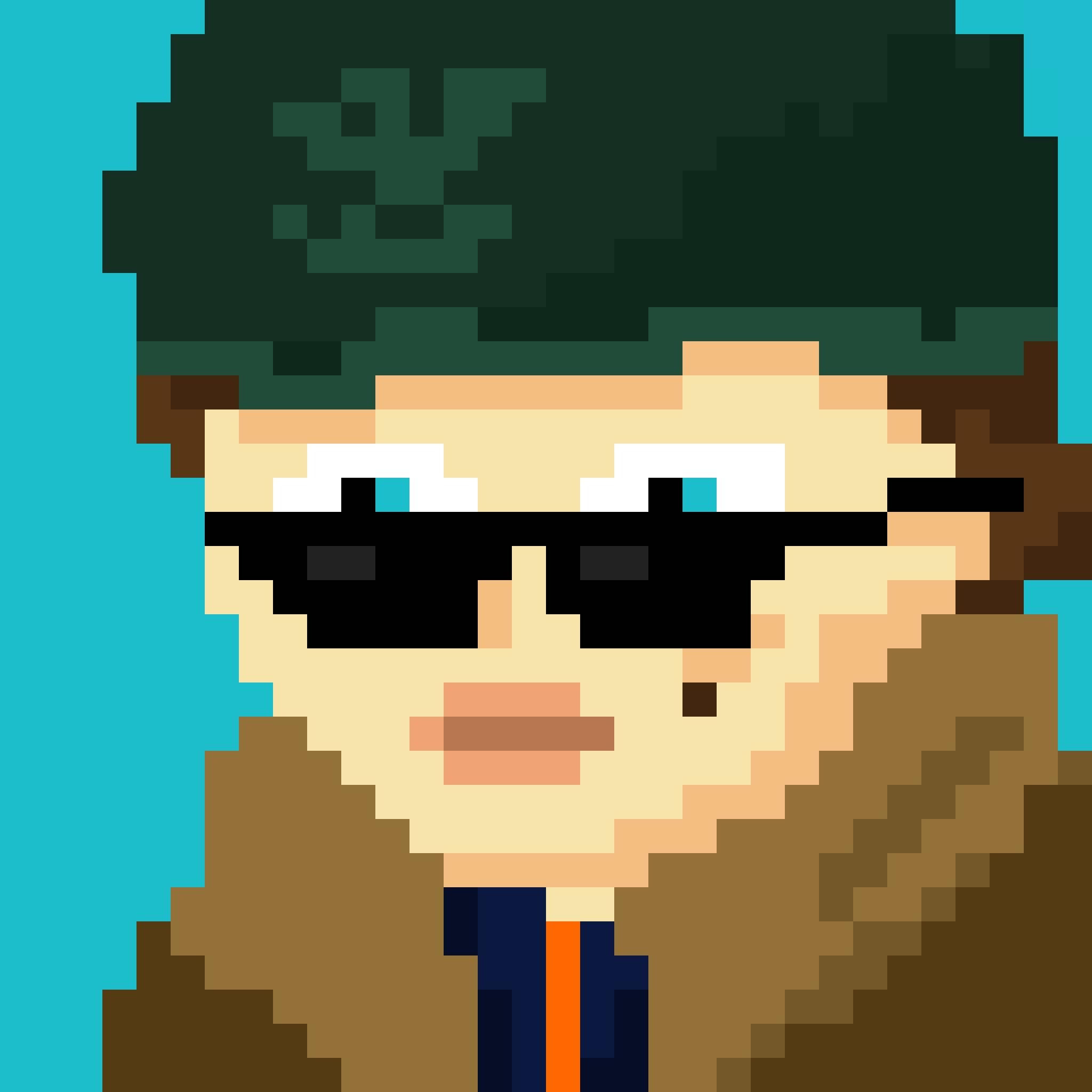 cgaBer3_64x.png