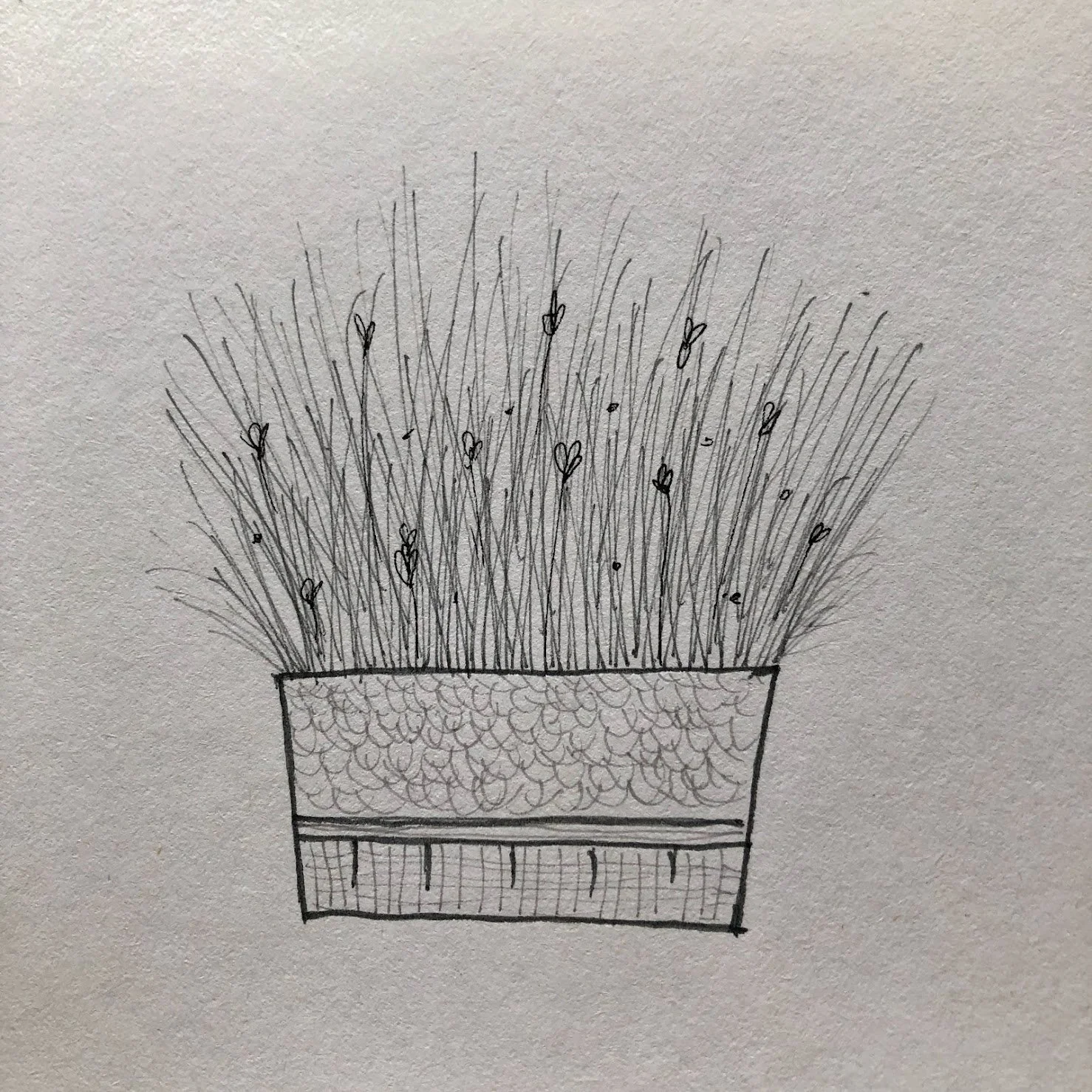 florecillas wip 0.jpeg