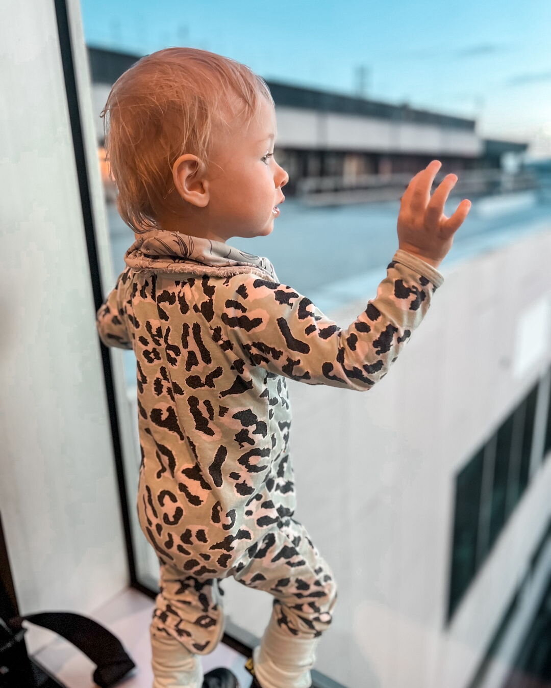This little guy joined our Artistic Director Laura on every stop of our tour!

Being a working creative mama has been a privilege and at times a challenge, but Darcy has made it a joy!

And after 43 flights, naturally he&rsquo;s completely obsessed w