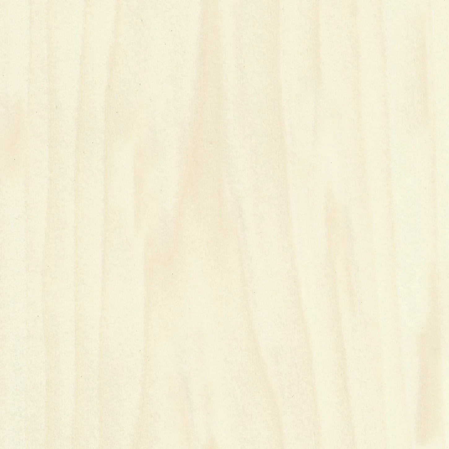 Poplar plywood interiors