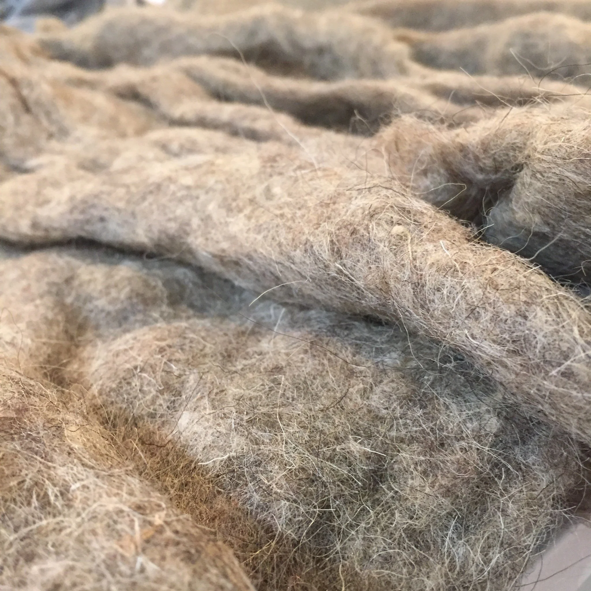 Sheep wool insulation