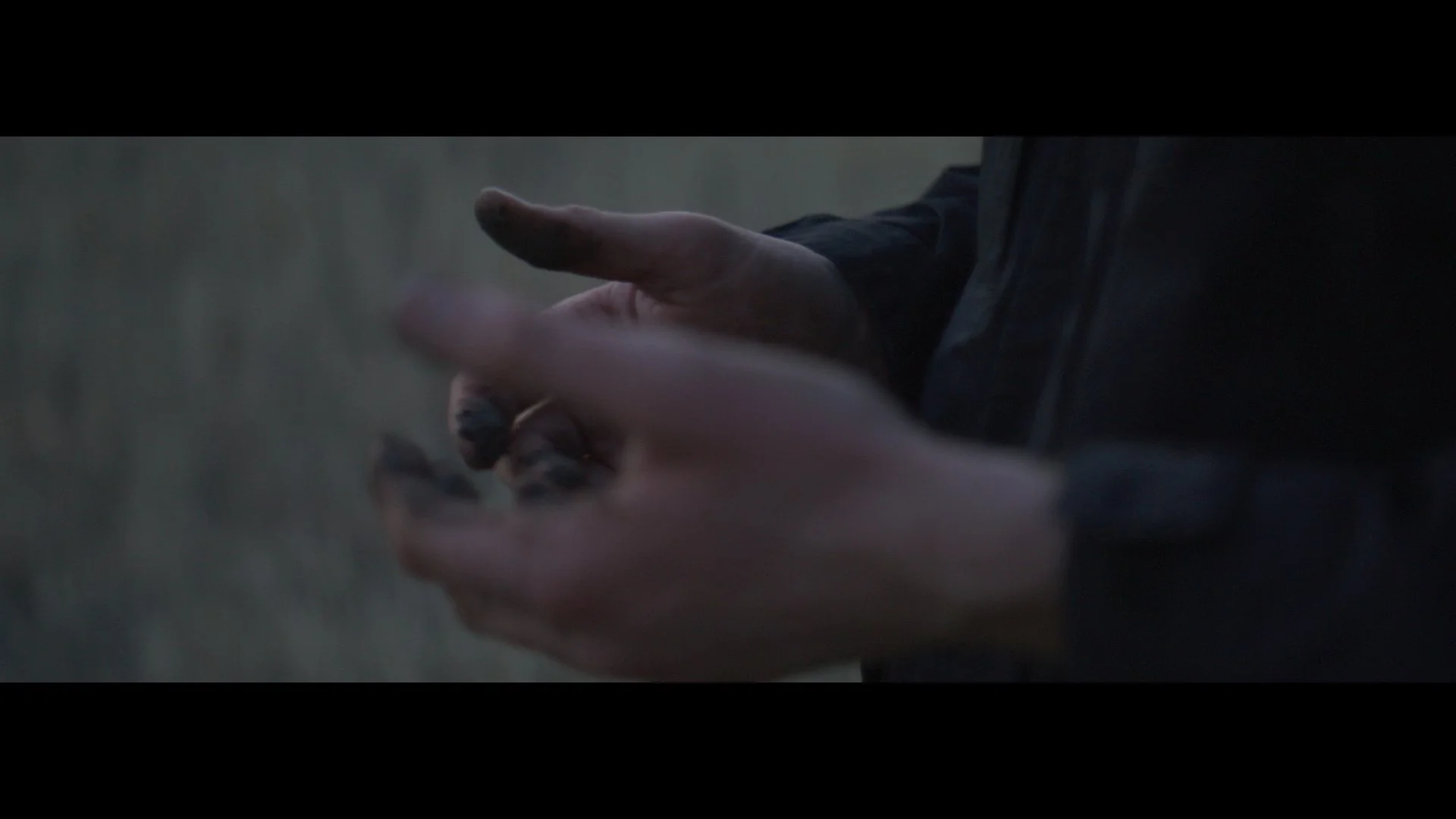 Still 2025-03-03 203258_1.78.11.jpg