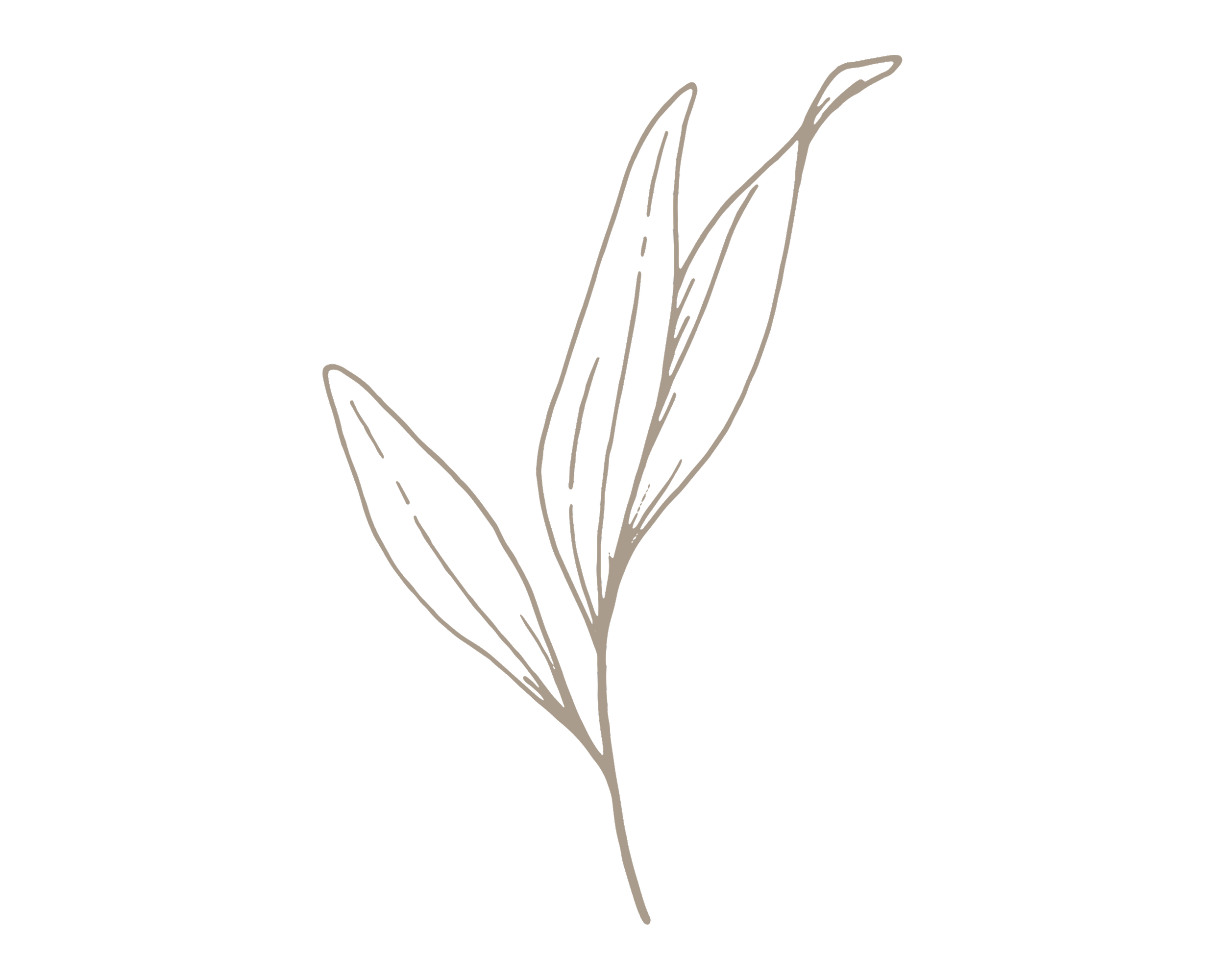 Shades Face & Body Bar Tampa Esthetician