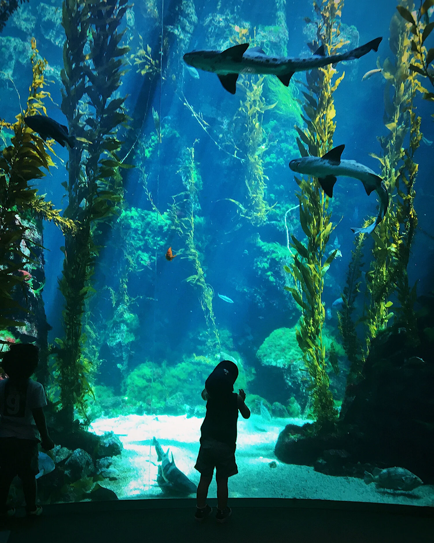 ScienceCenter_7749.jpg