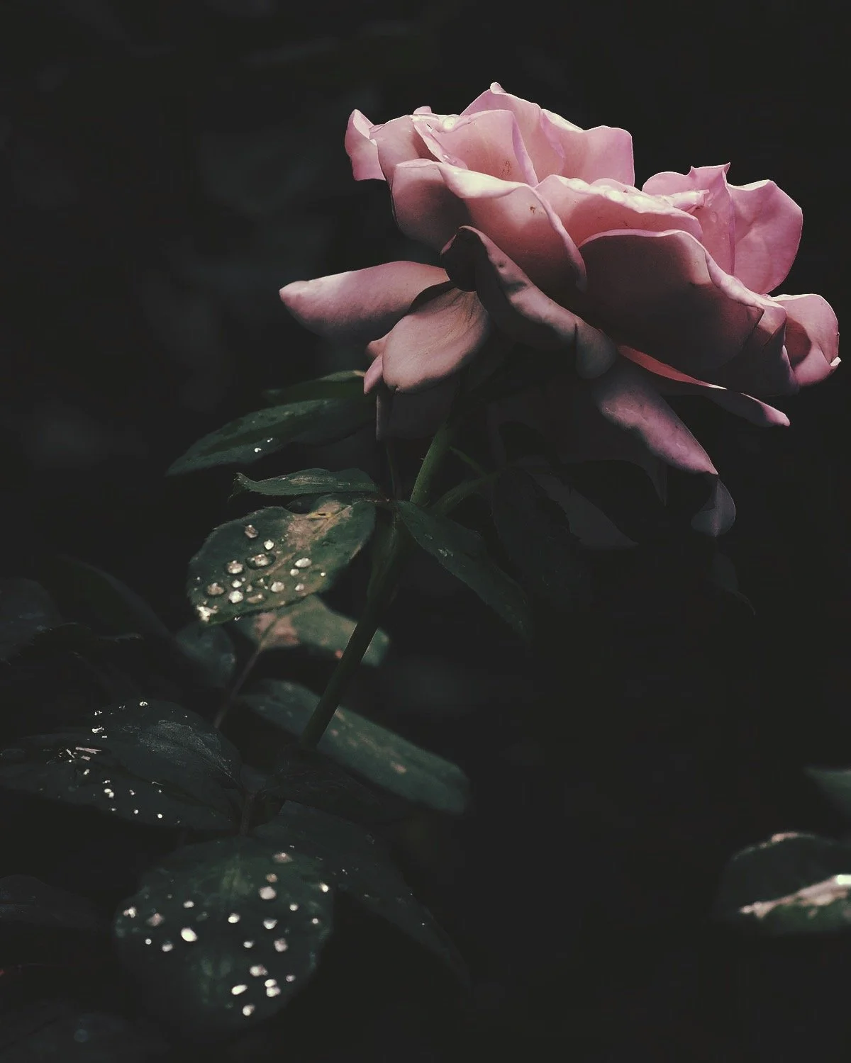 IMG_9943.JPG