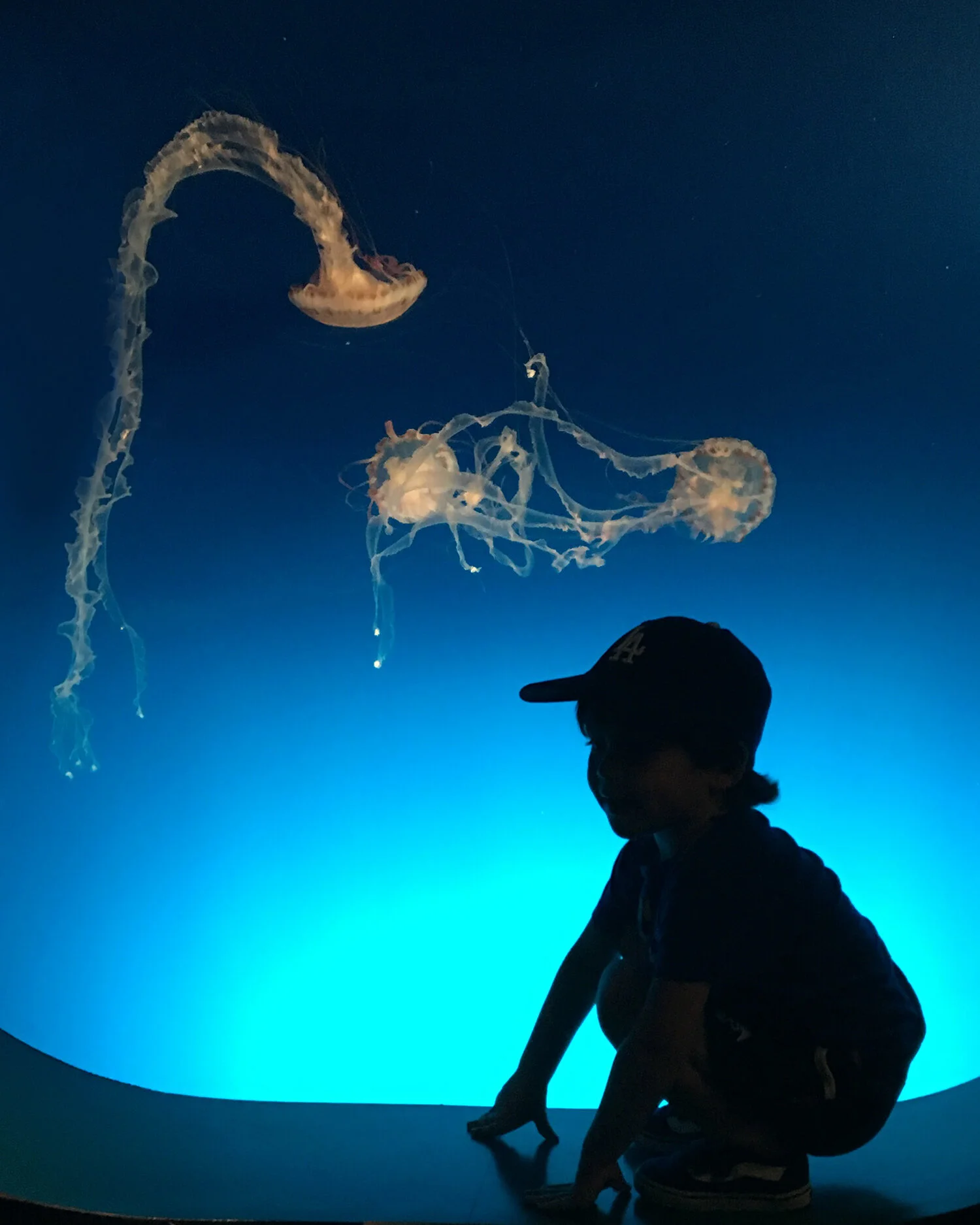 Aquarium_3010A.jpg