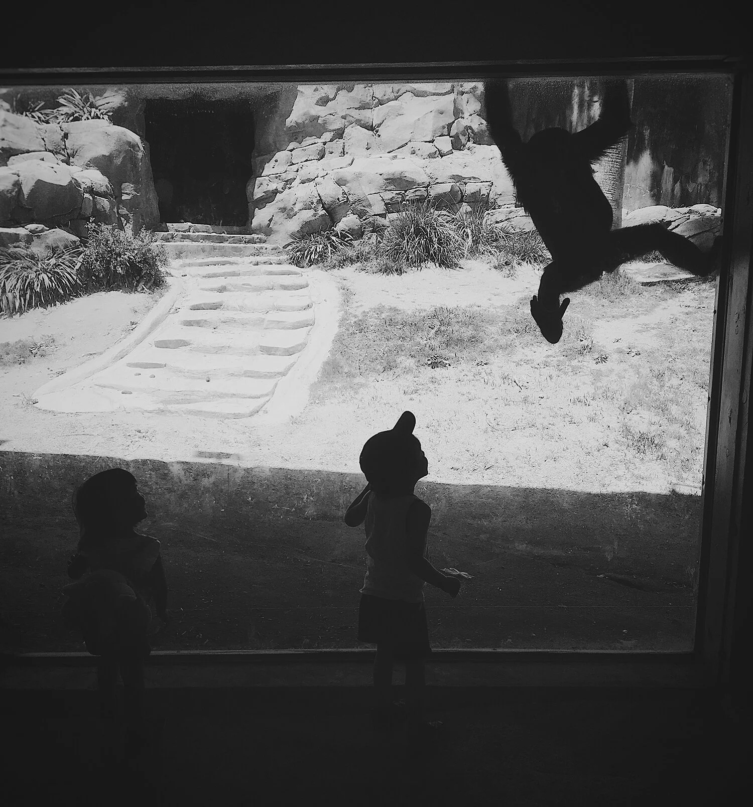 Zoo_02_2960.jpg