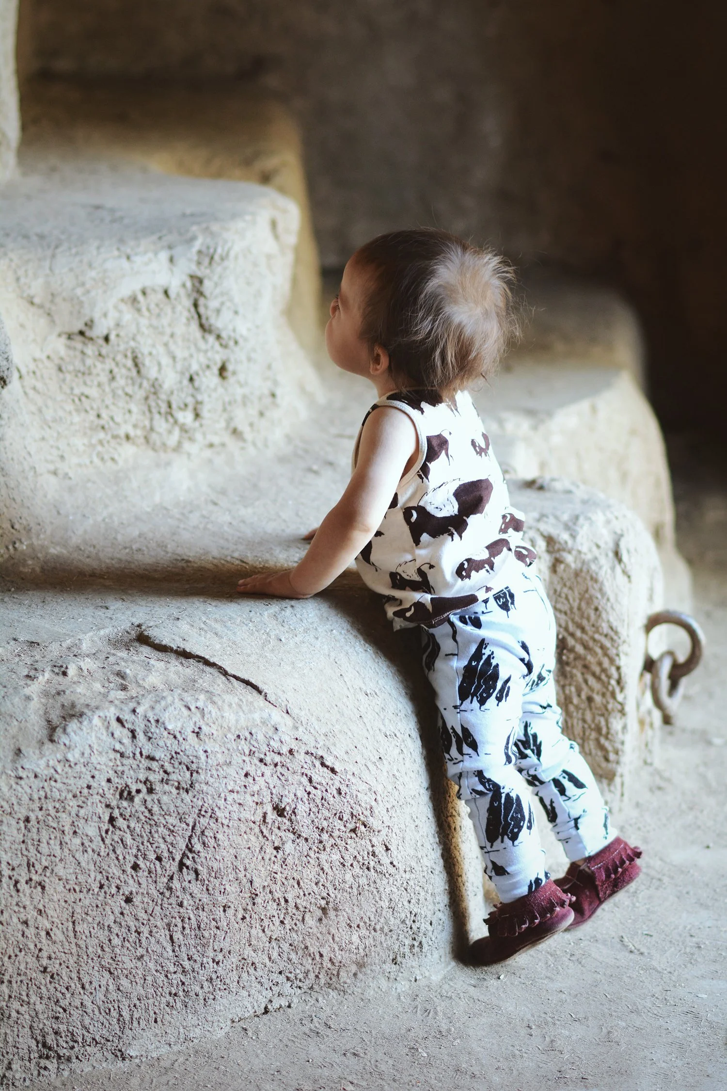 OldZoo_9575.jpg