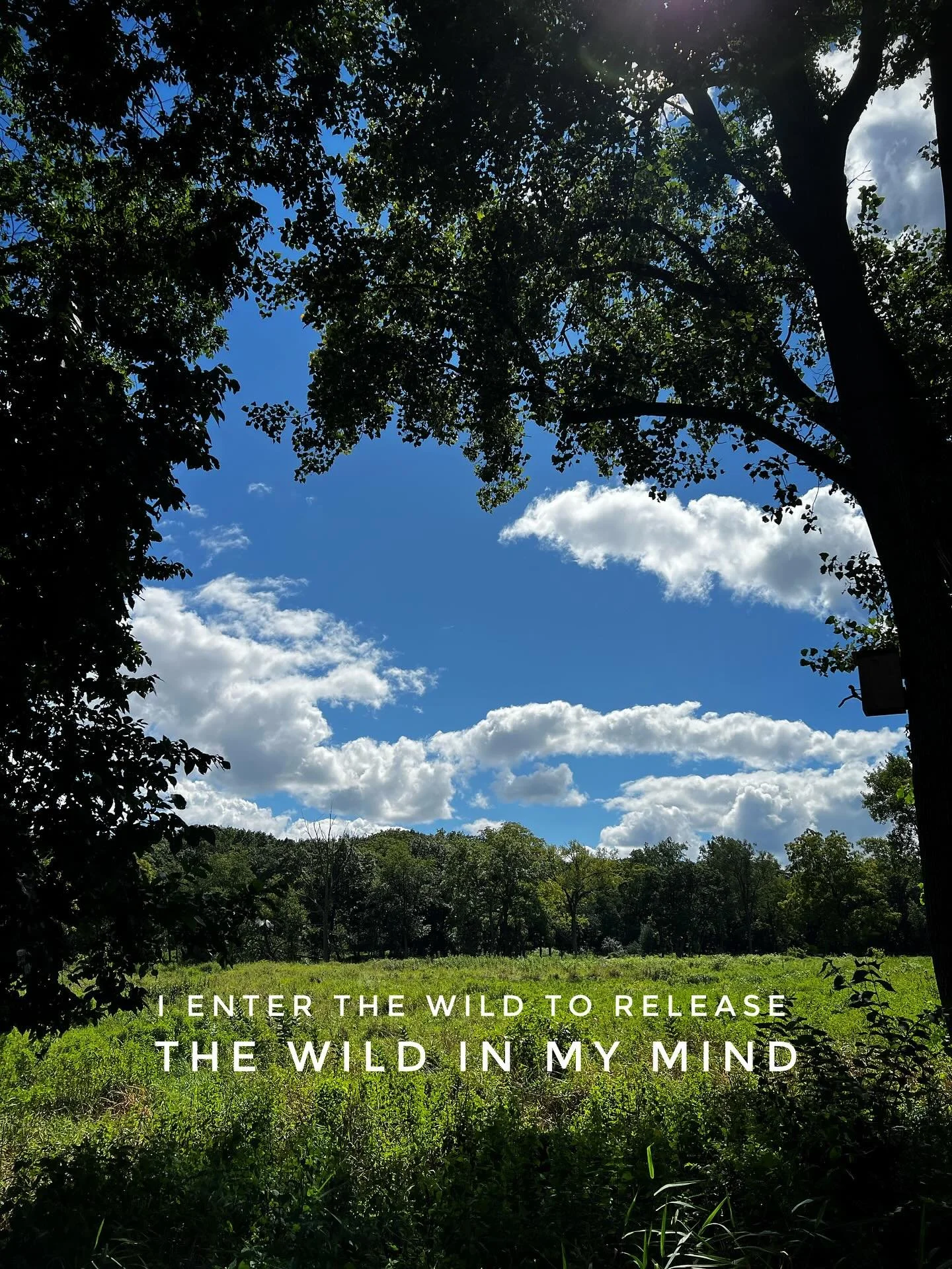 To harness the awareness of one&rsquo;s mind can result in beautiful creations. To avoid the awareness necessary,  however, can result in life-altering destruction. Balance, then, is required, especially for those who do not avoid the rising and fall