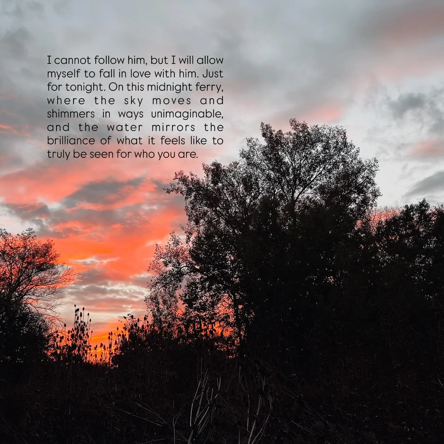 We could be free ✨

Book Three Snippet ✍️ 

Jes
@jes.smyth 

🏷 
#amwriting
#draftone
#almostdone
#writer
#author
#independentauthor