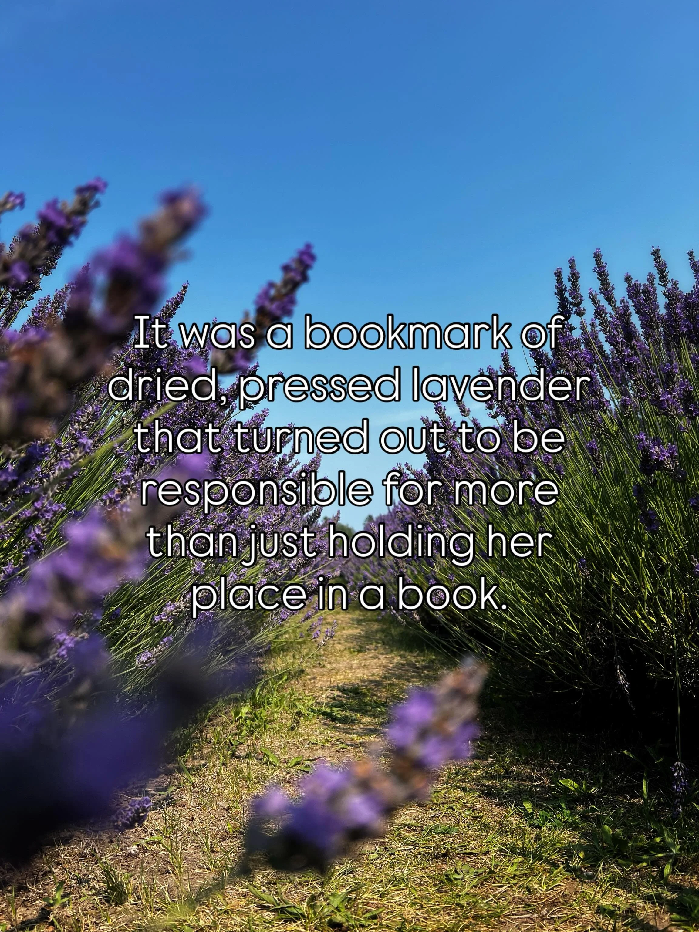 &ldquo;She woke before sunrise and drove to the tip of the peninsula, where a ferry waited. The air was cool, and mist lingered on the surface of the lake as the ferry cut through the water. She rented a bicycle at a small hut a few steps from the fe