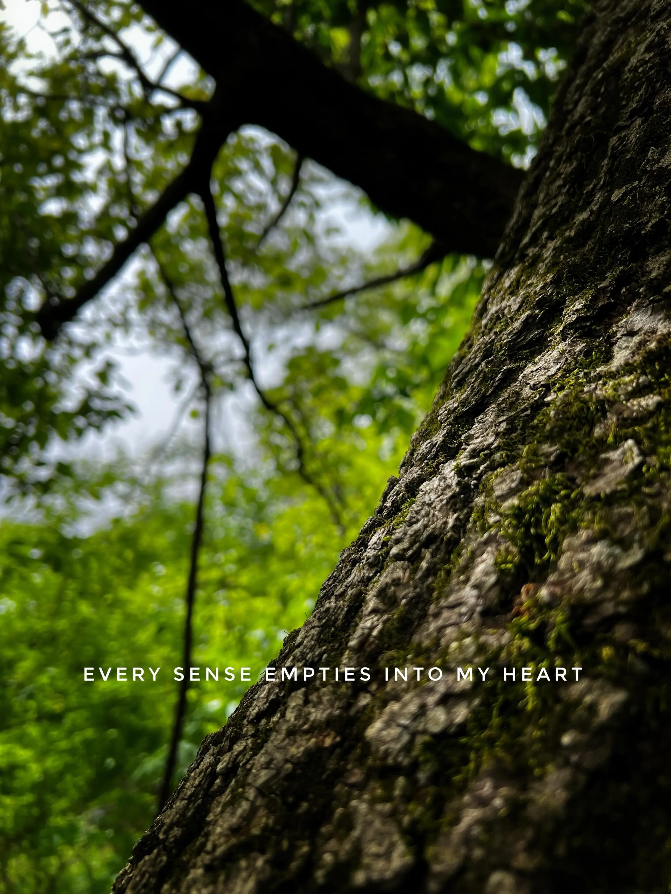 &mdash; a six word story

Jes
@jes.smyth 

#independentauthor
#indieauthor
#selfpublished
#indiebooks
#writingjourney