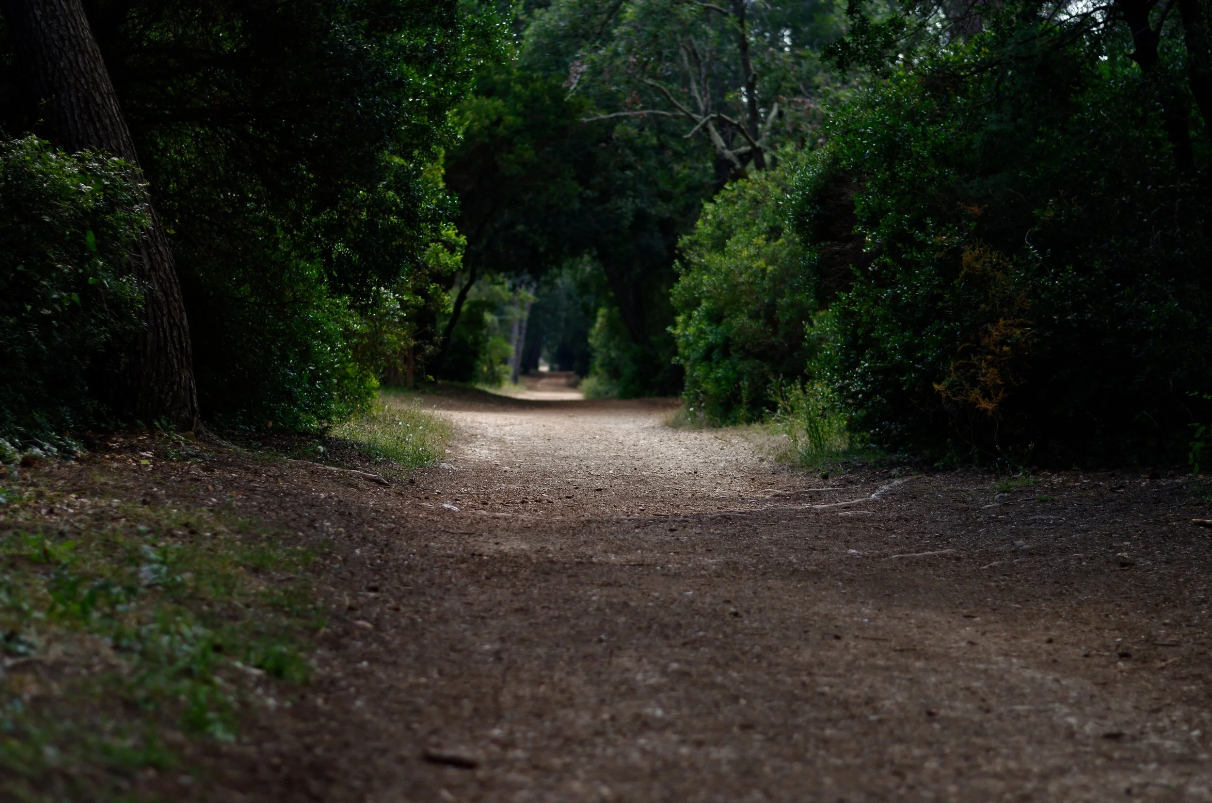 On Endings | Reflections from Advent 3 (part 1/5)