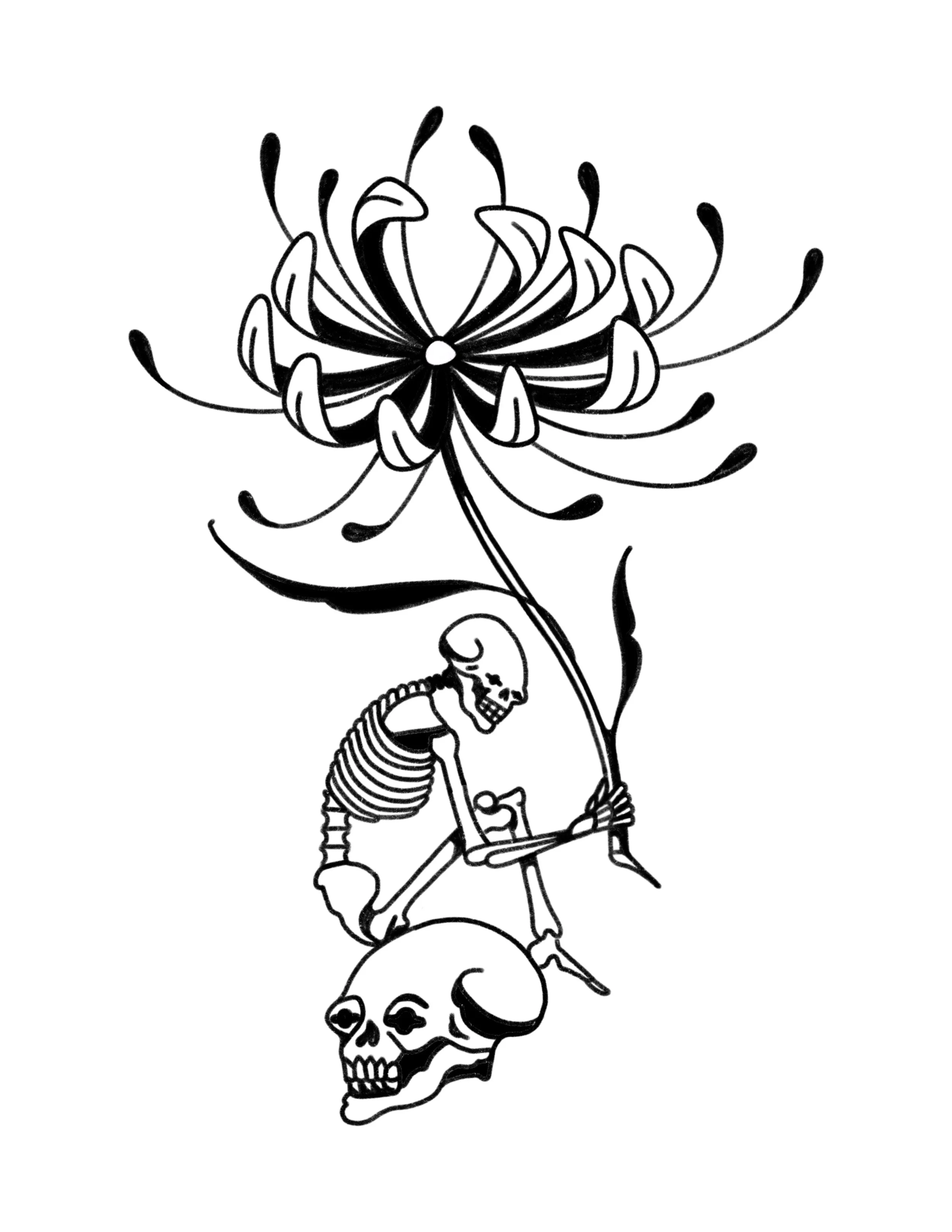 A skeleton sitting on a skull, holding a large flower with many petals and long, curving stamens.
