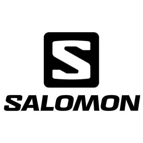 Solomon Logo.webp