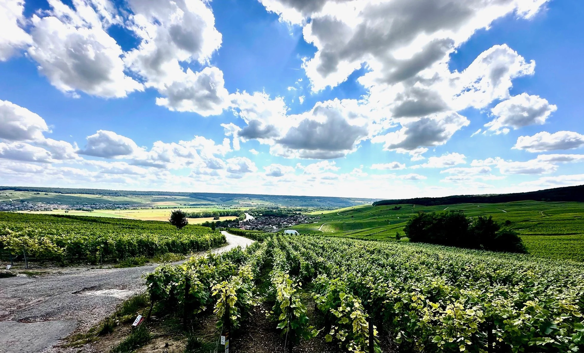 Scenic view of green vineyards on rolling hills under a partly cloudy sky, with a small village in the distance.