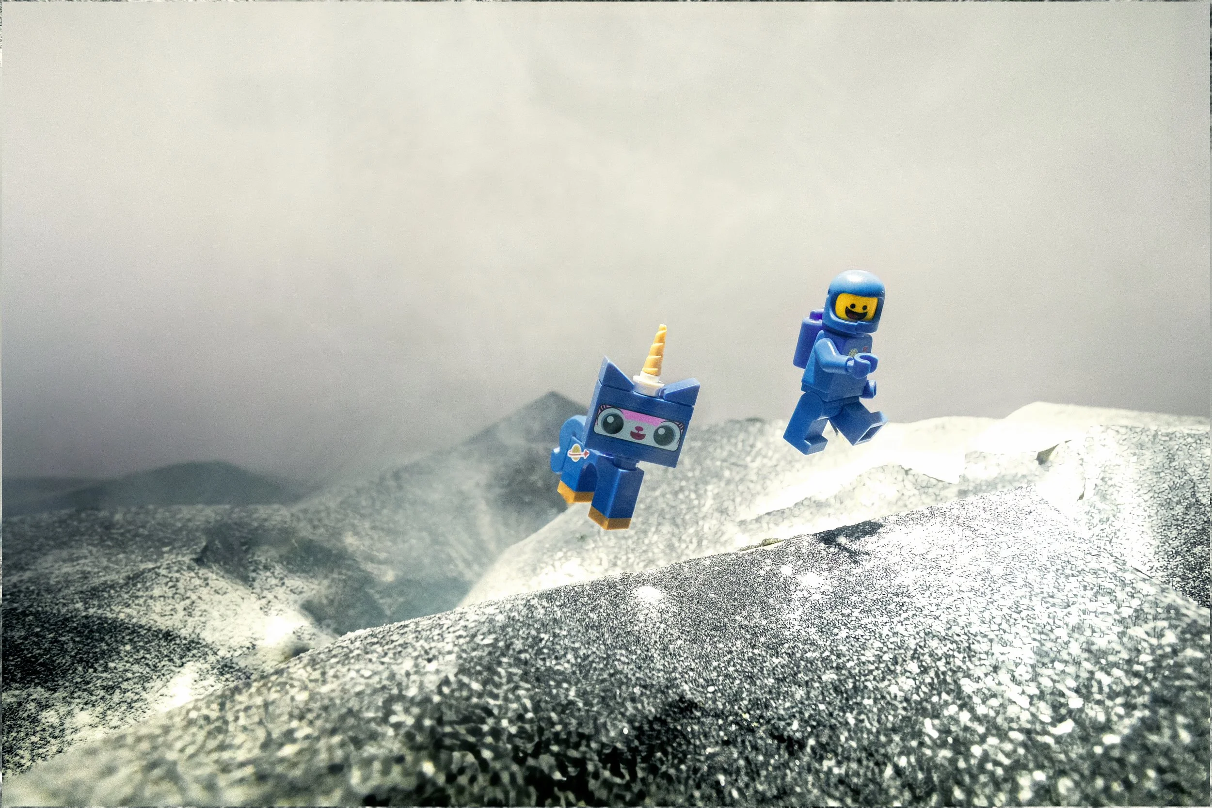 IMG_0001 copy 01.jpg