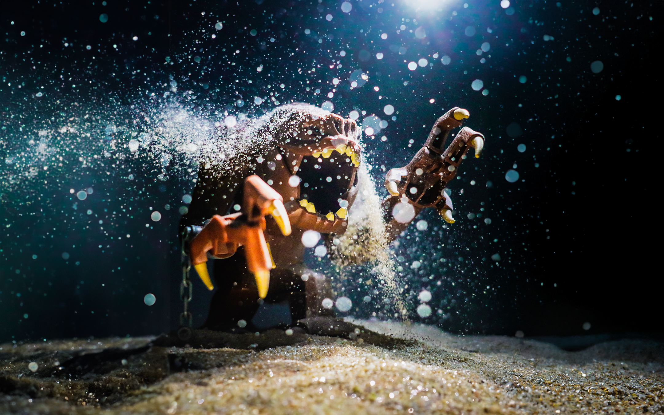 RANCOR WIDE copy.png