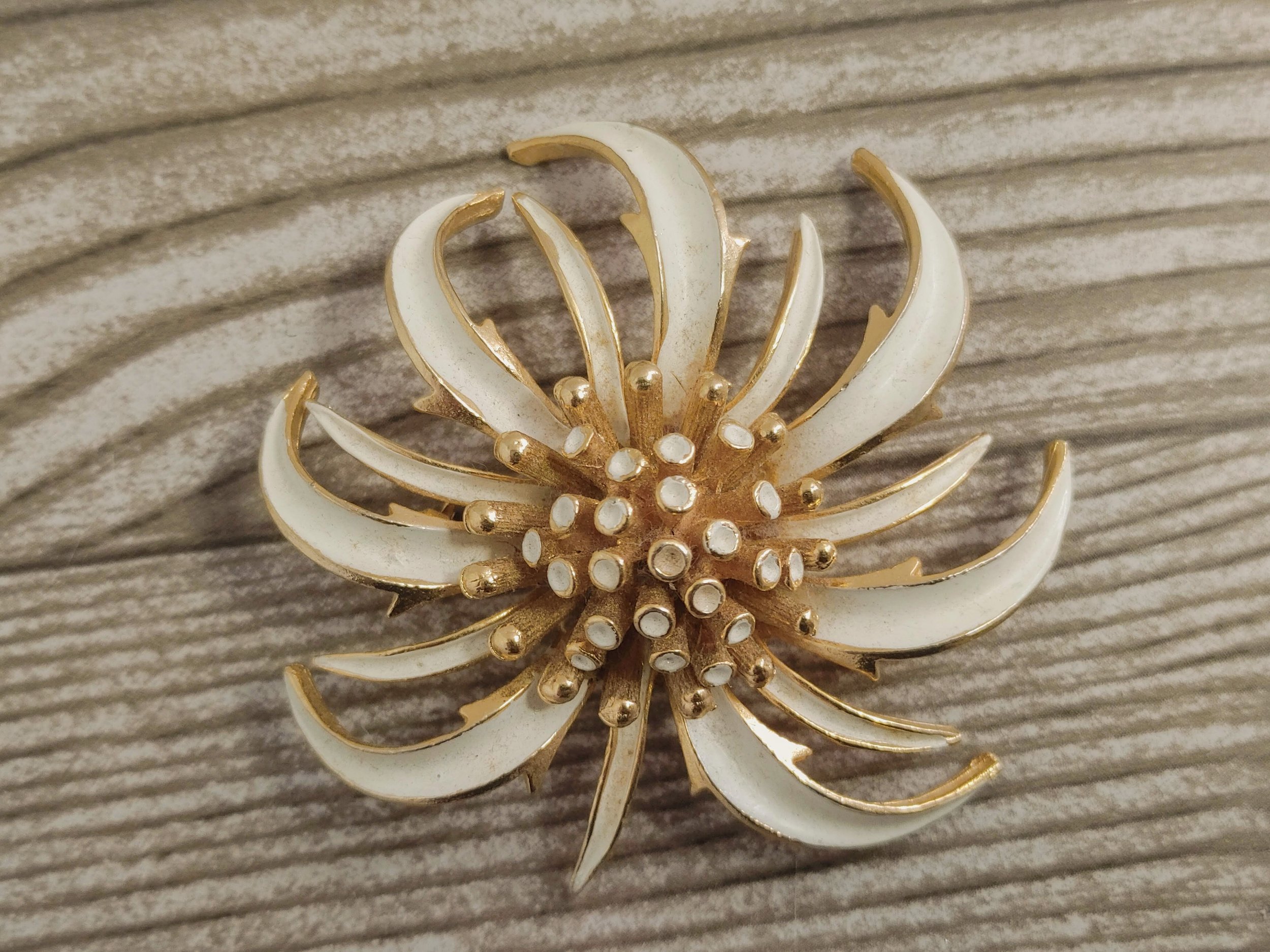 DREAMLANDSALES Garden Jewelry Collection Golden Beaded Framed Petal Full Bloom Black Rose Brooch Pin