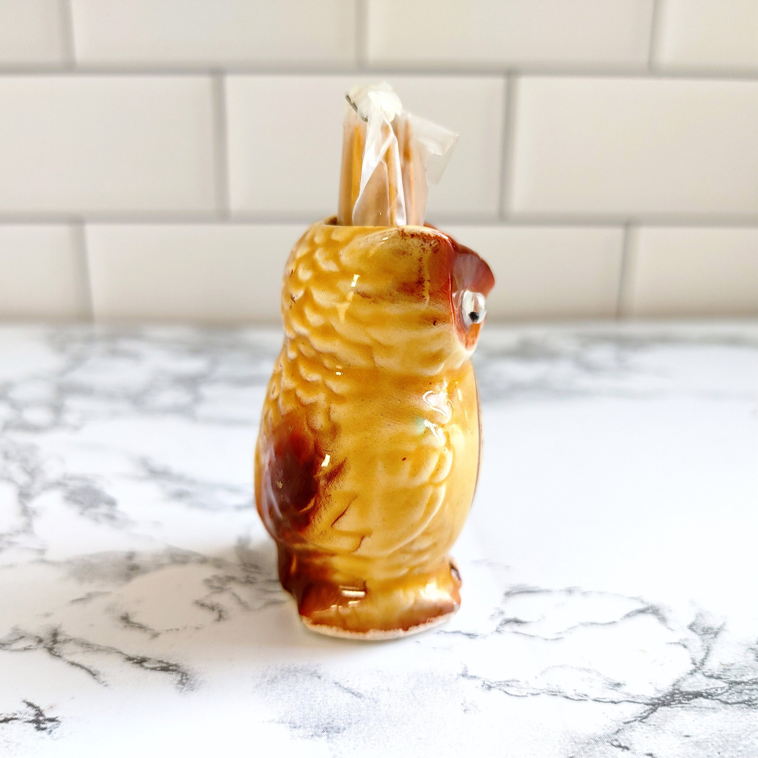 Vintage Georgia Owl Toothpick Holder Souvenir
