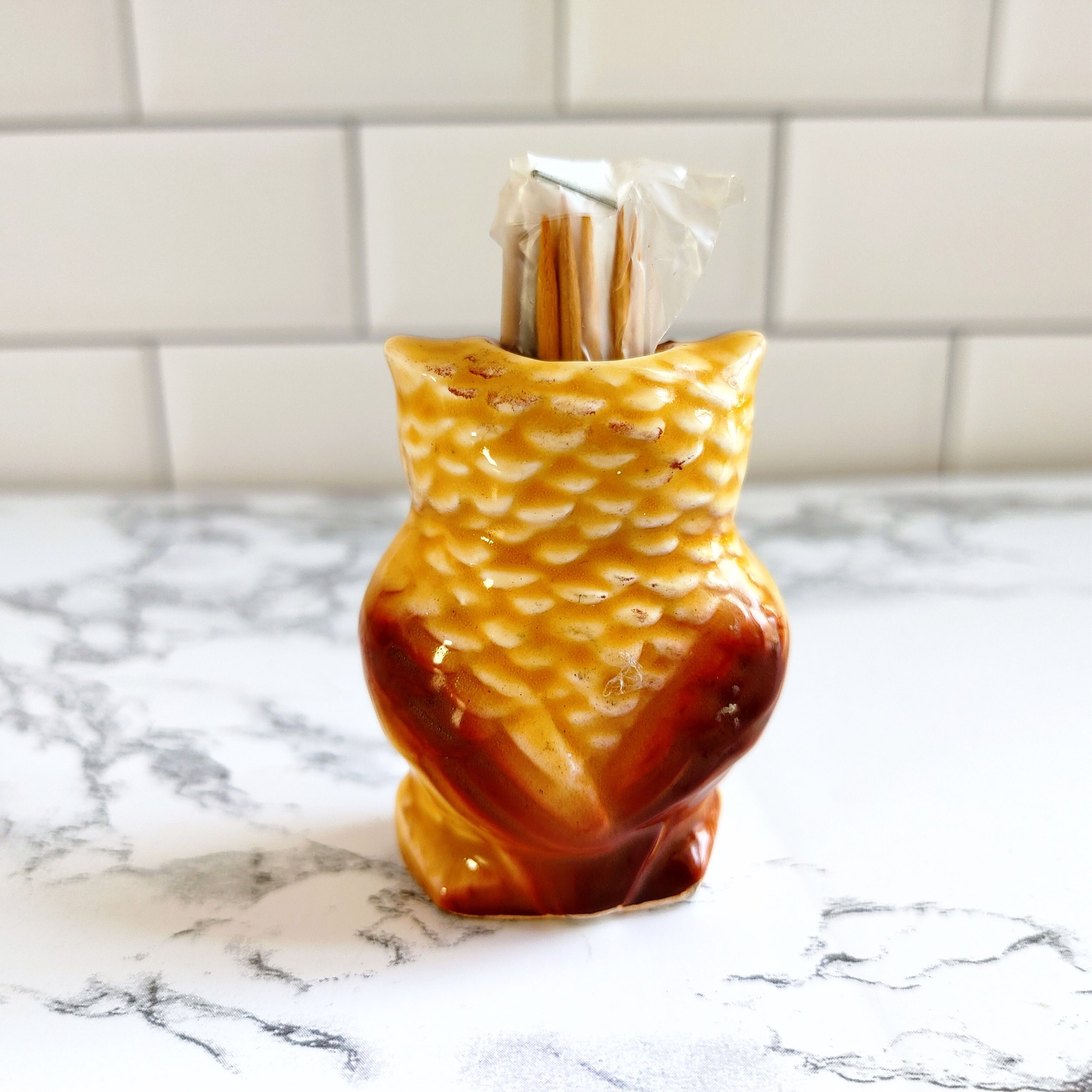 Vintage Georgia Owl Toothpick Holder Souvenir