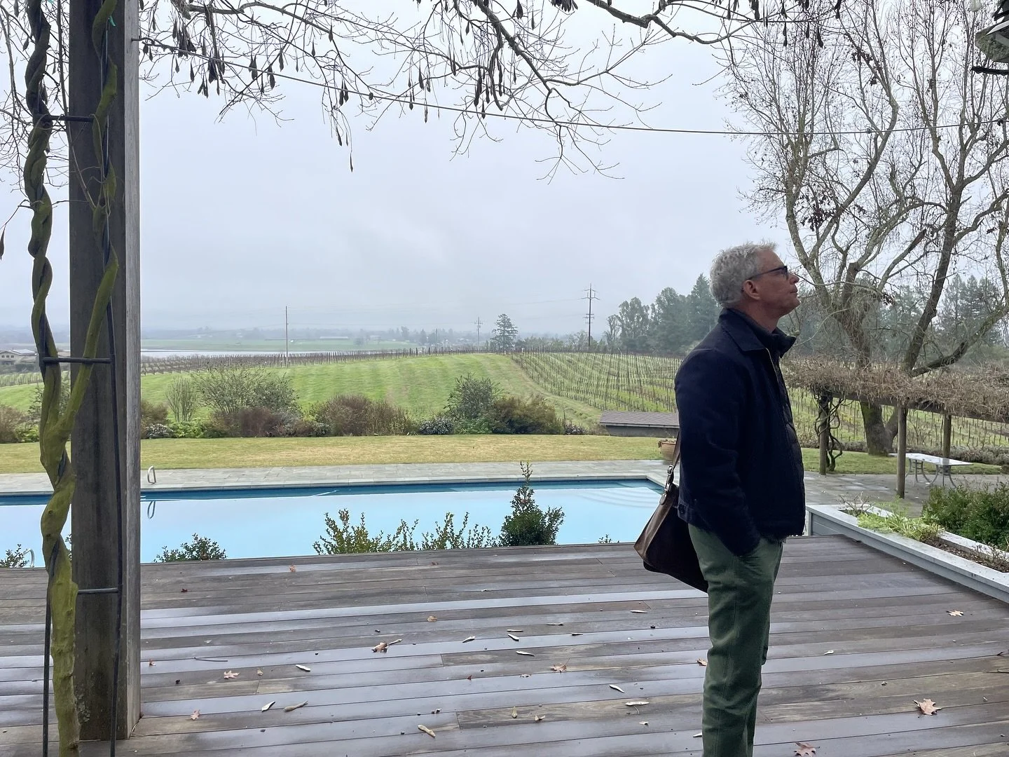 One of the joys of working in Sonoma County: expansive views, different seasons, connection to nature. While visiting clients at their Sebastopol home, we caught a bald eagle soaring above the vineyards. Our clients say the pair nests here every year